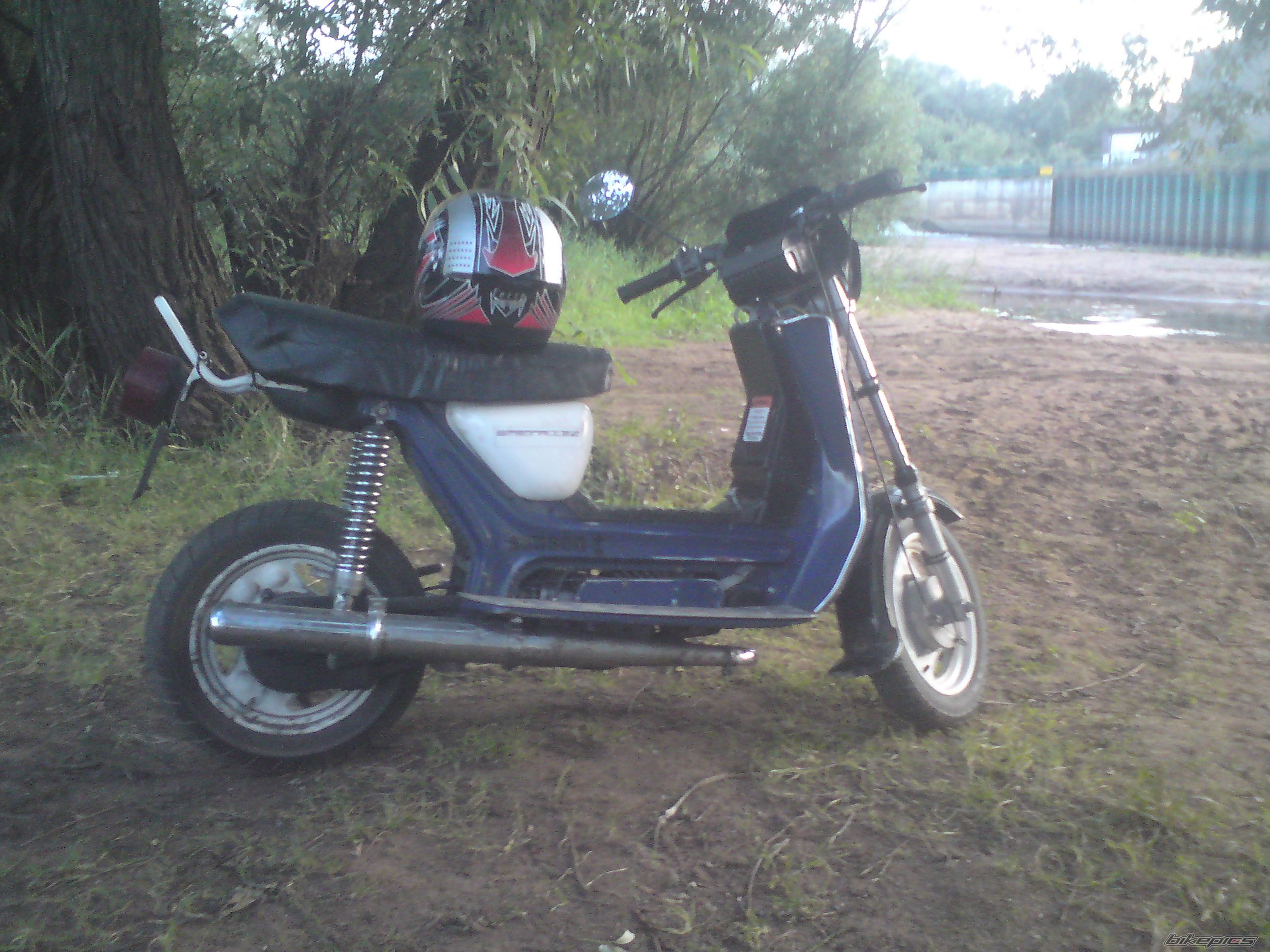 Photo 2589690