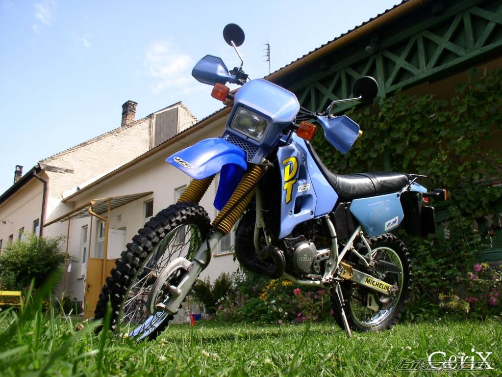 Photo 258973