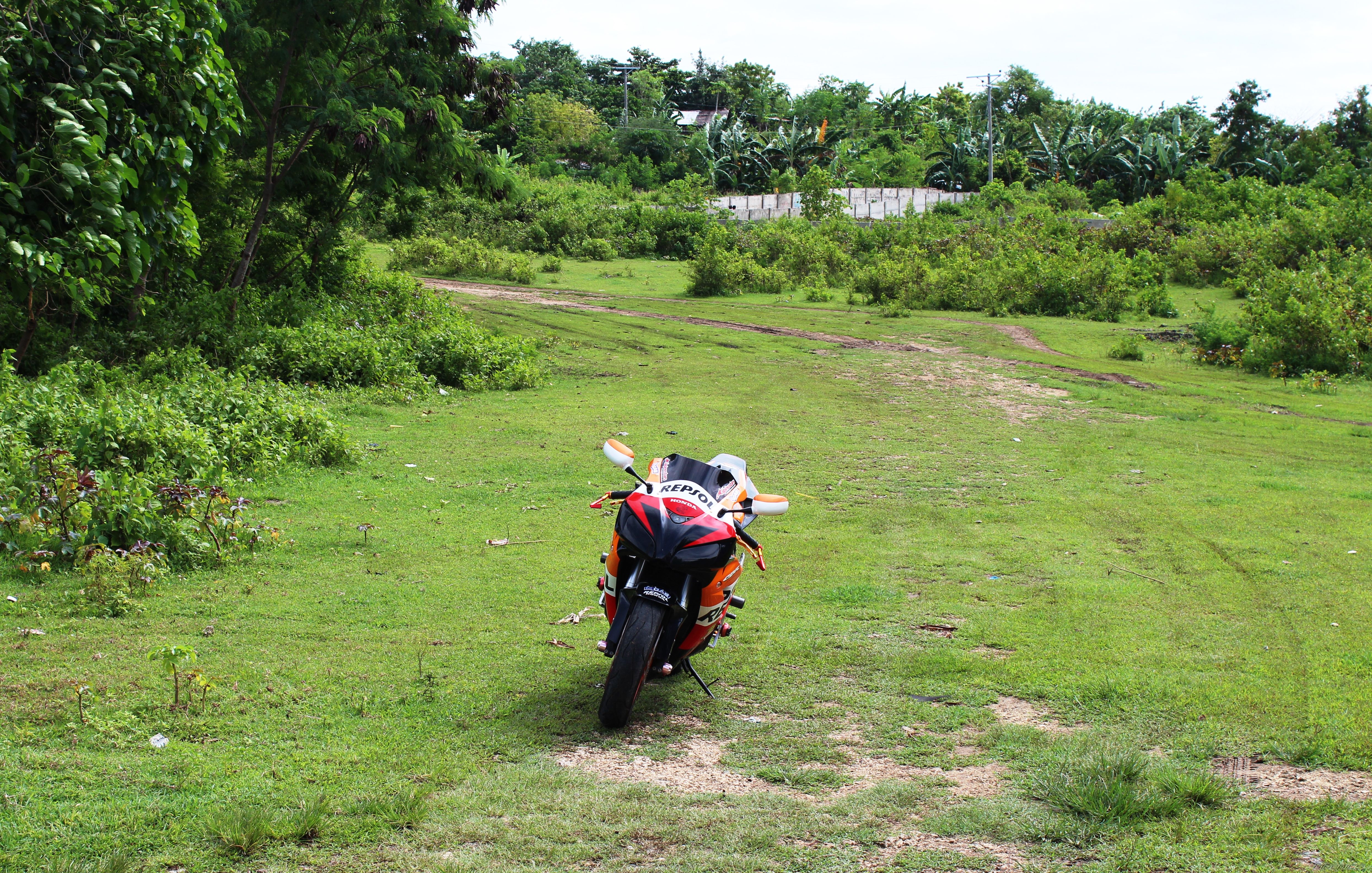 Photo 2589762