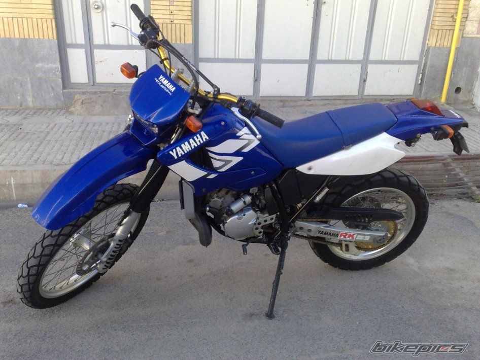 Photo 2589810