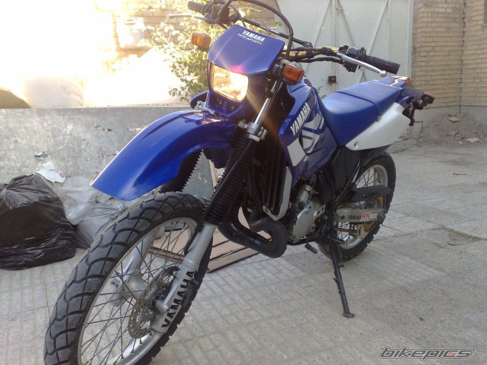 Photo 2589812