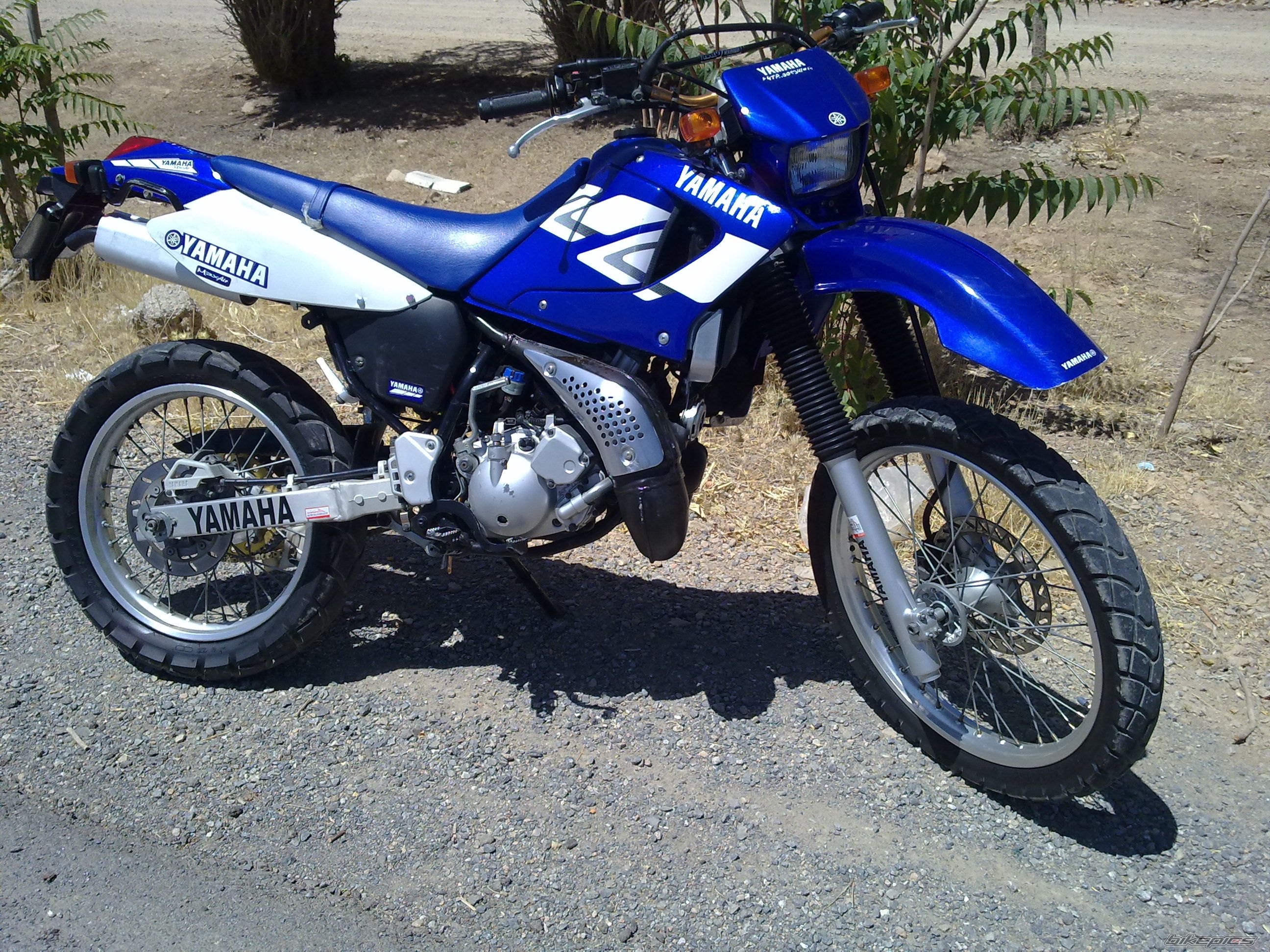 Photo 2589814