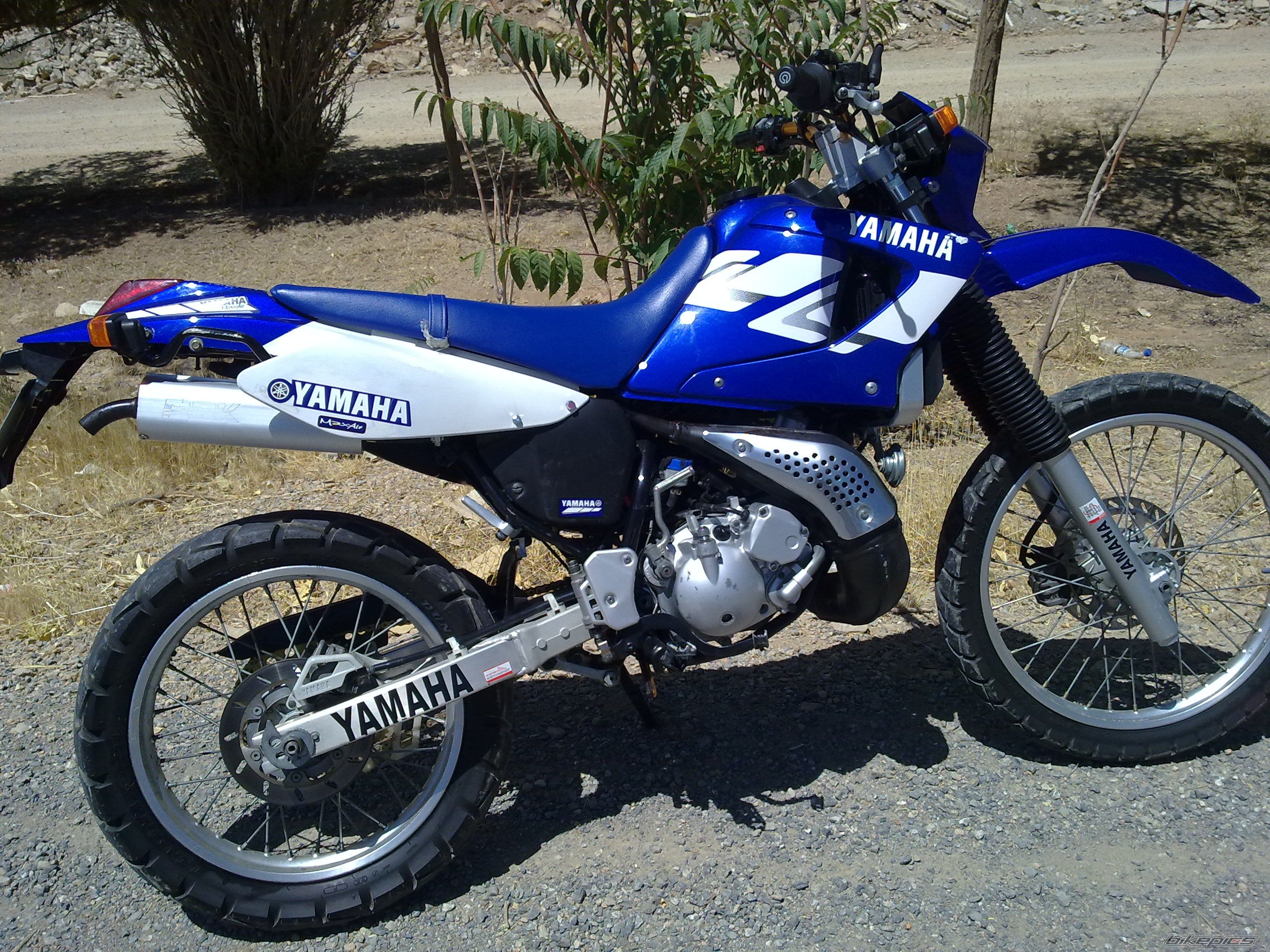 Photo 2589817