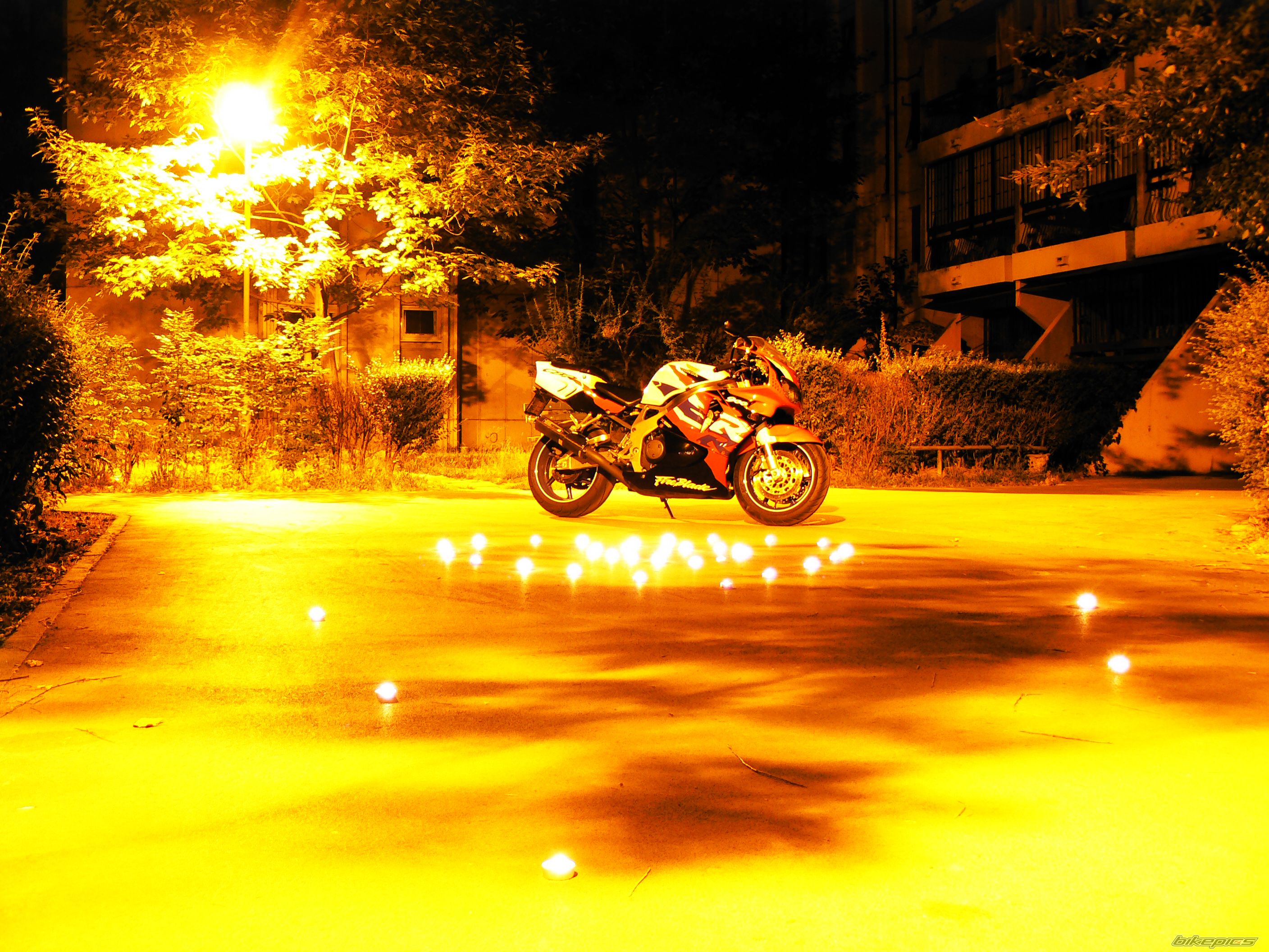 Photo 2589824