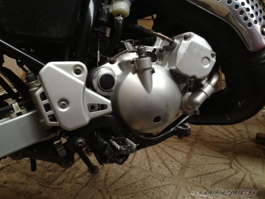 Photo 2589842