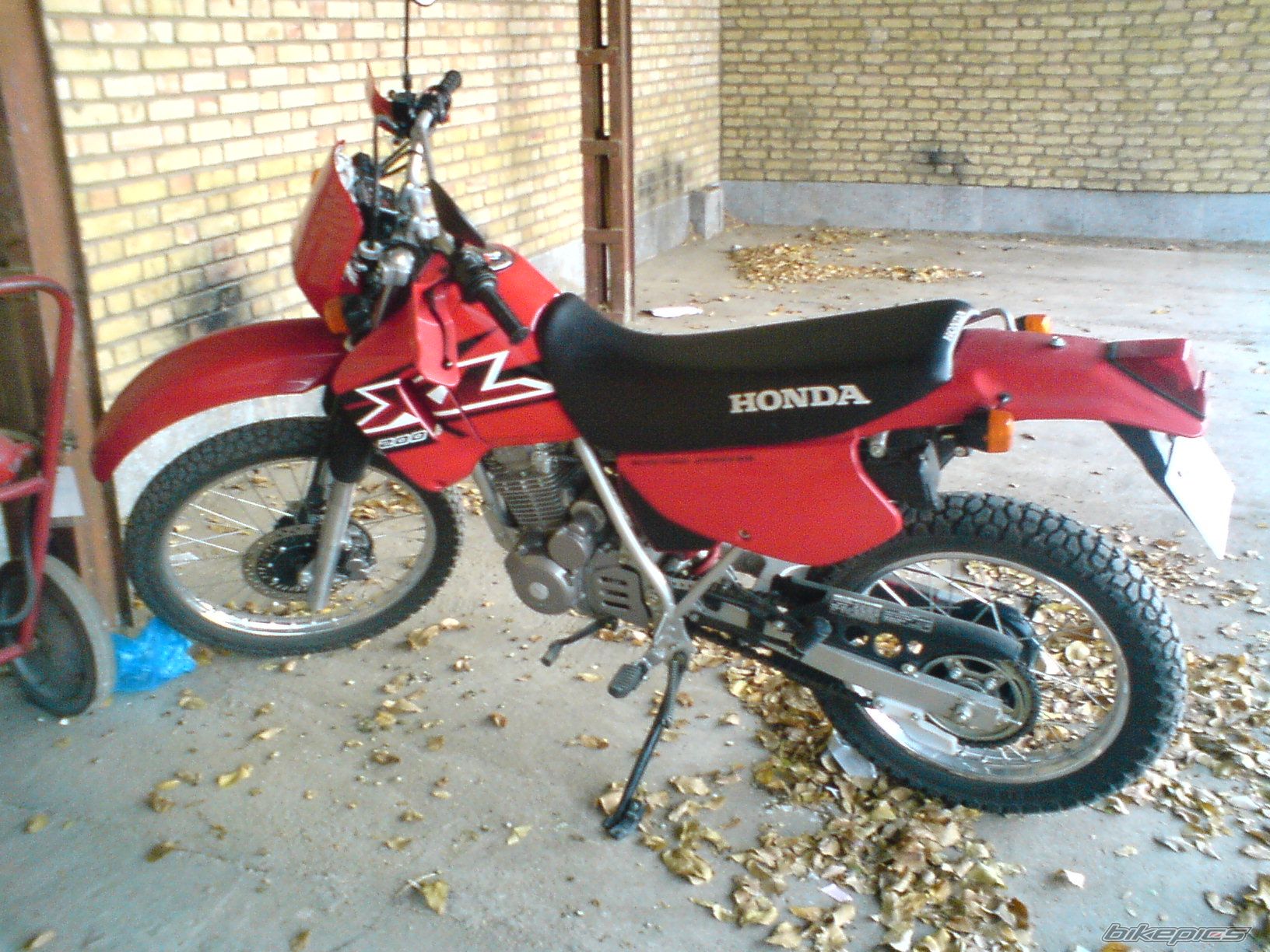 Photo 2589858