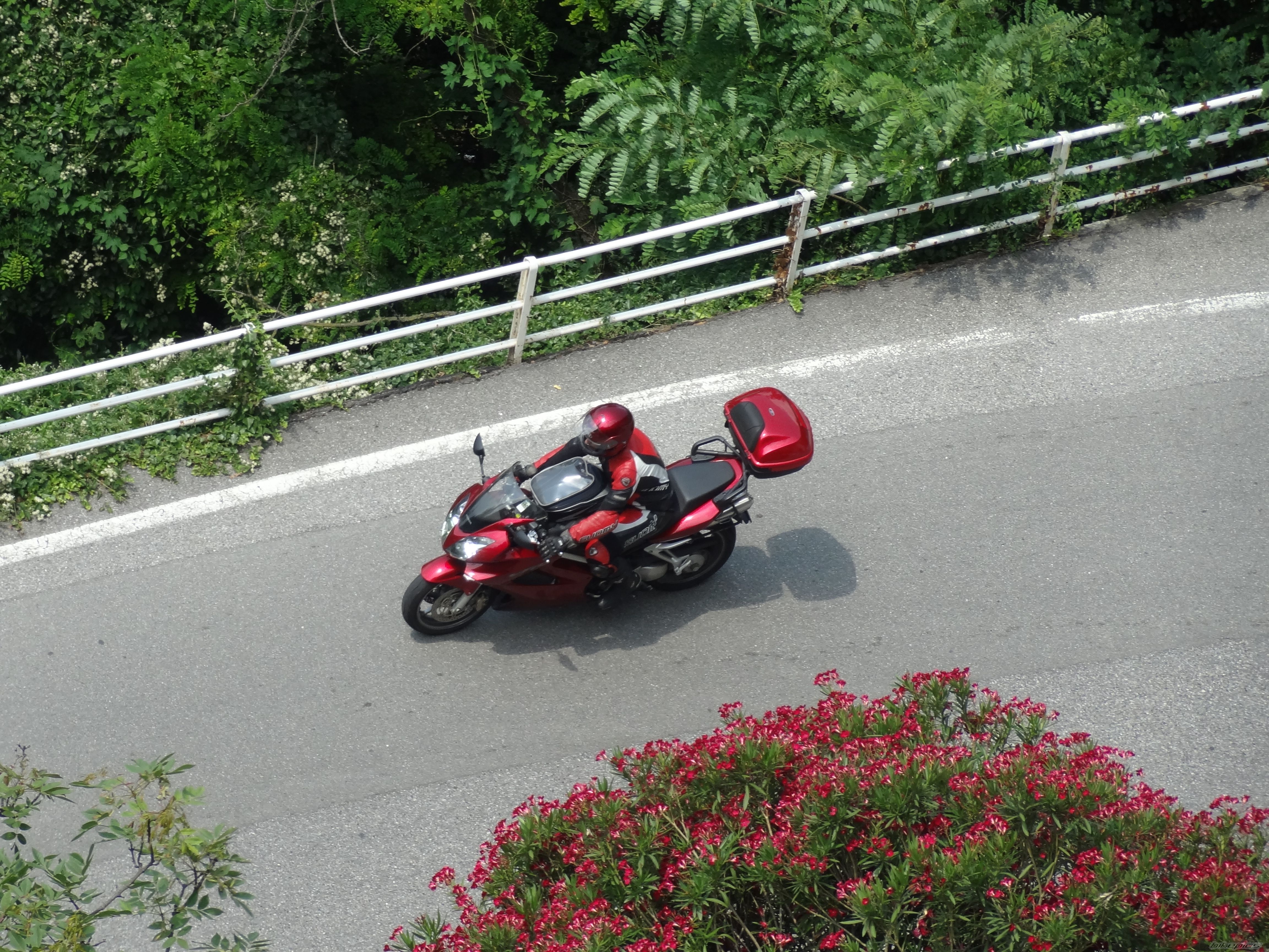 Photo 2589976