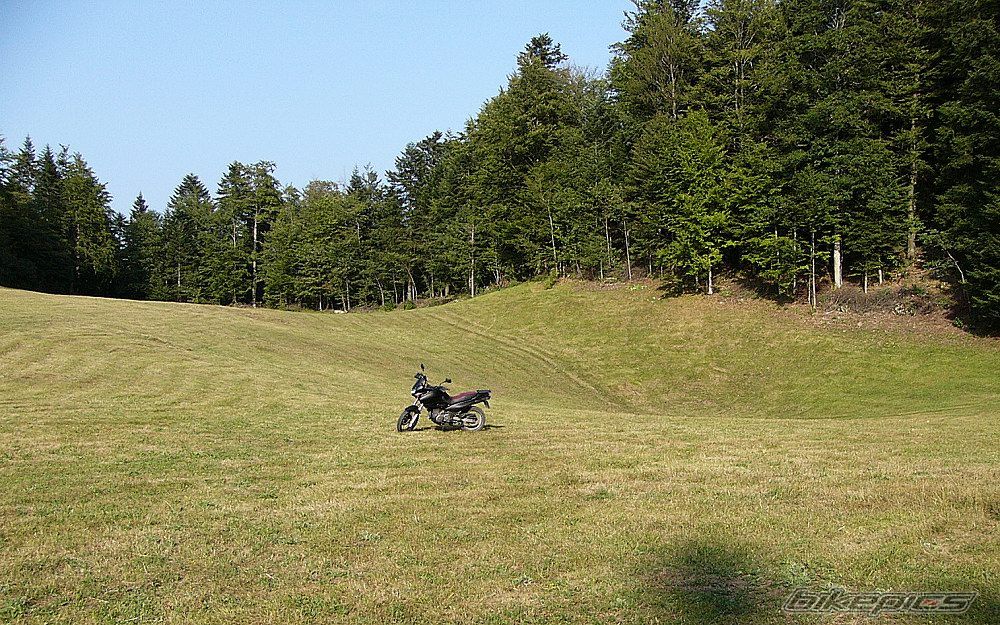Photo 2590022