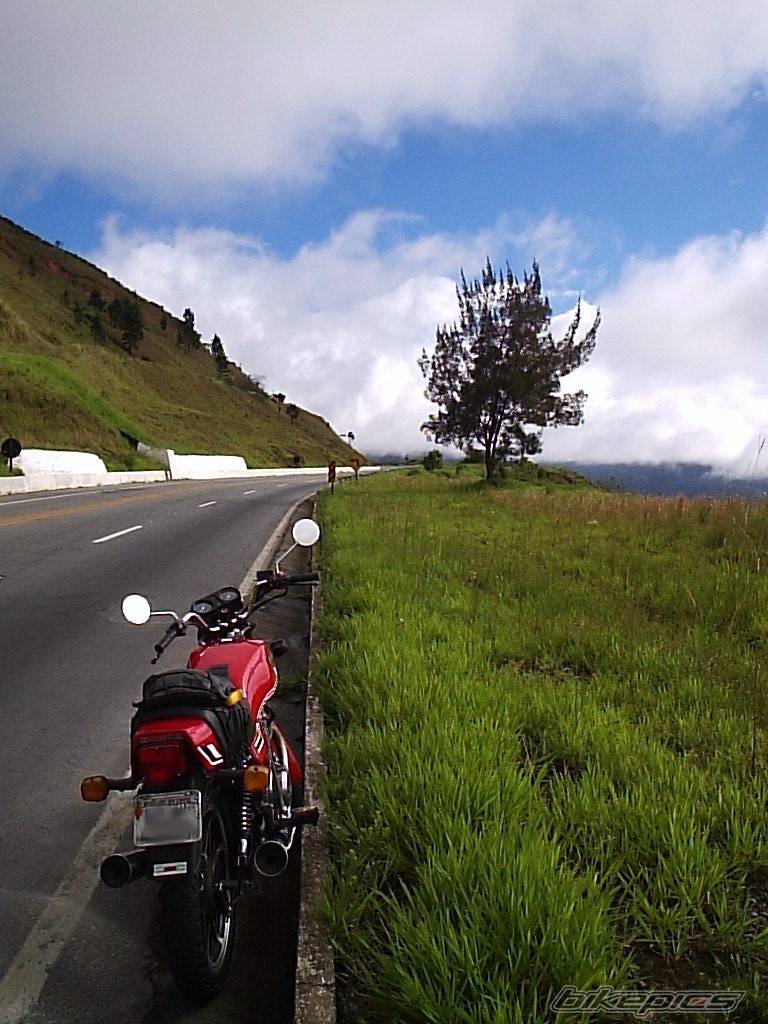 Bike Photo 259011