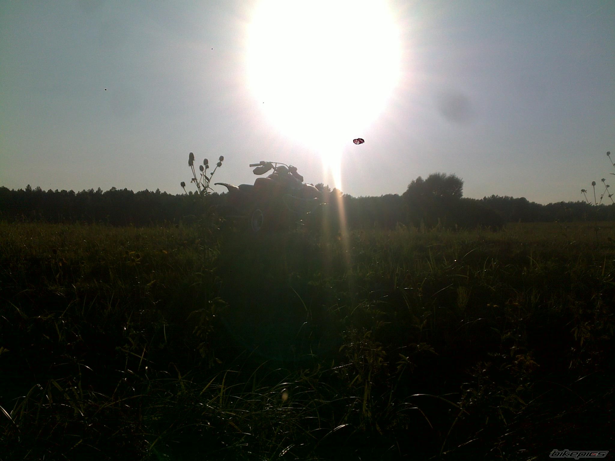 Photo 2590111