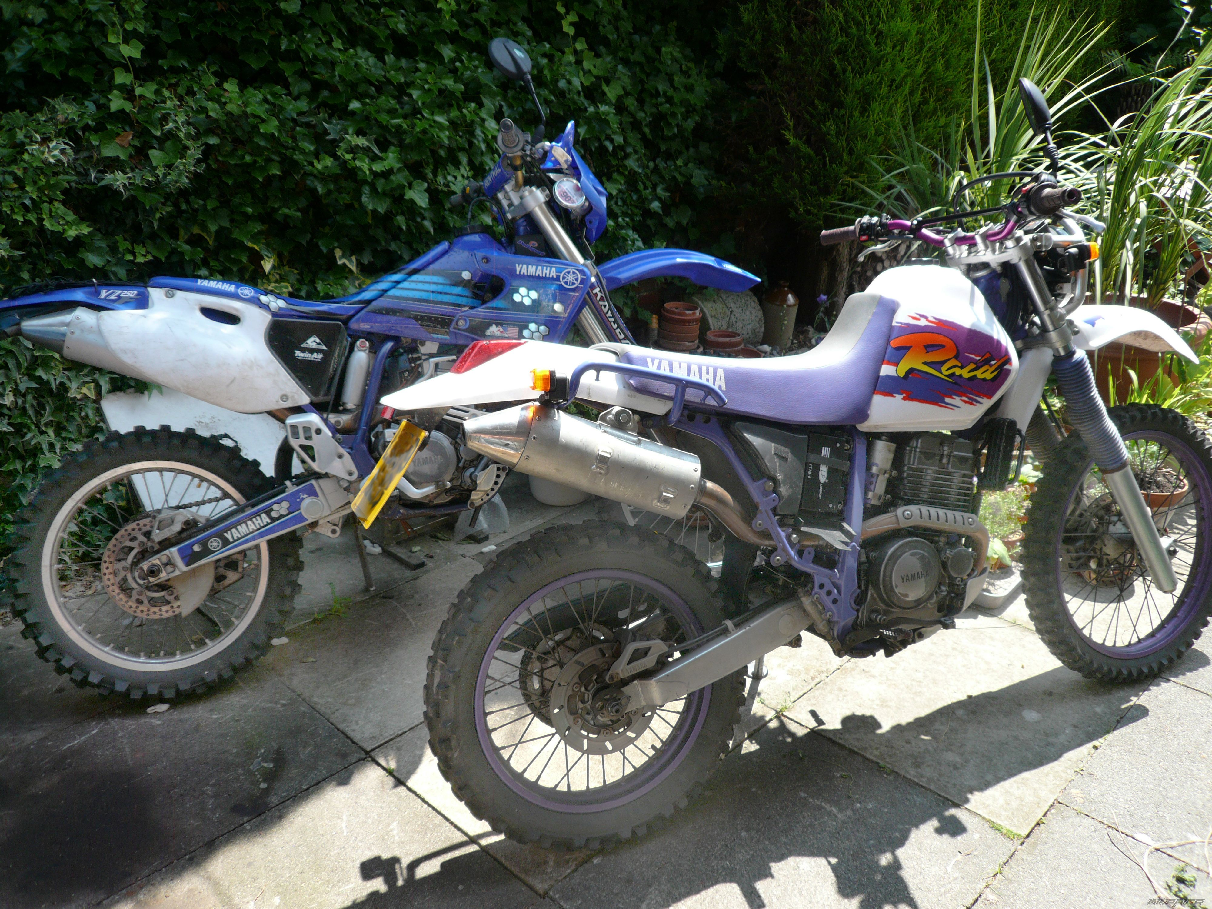 Photo 2590114