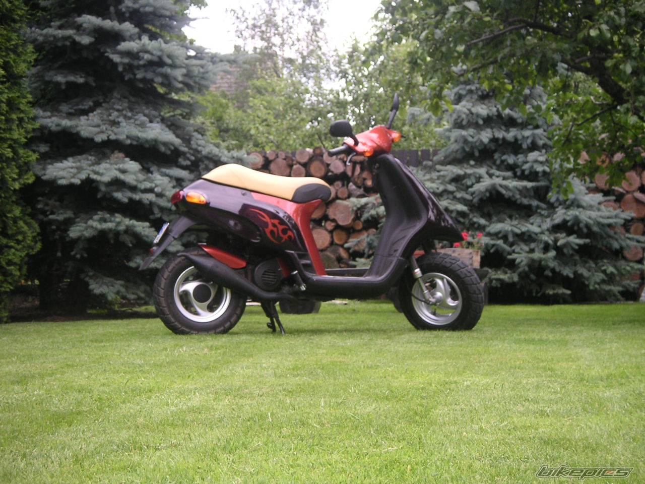 Bike Photo 259017