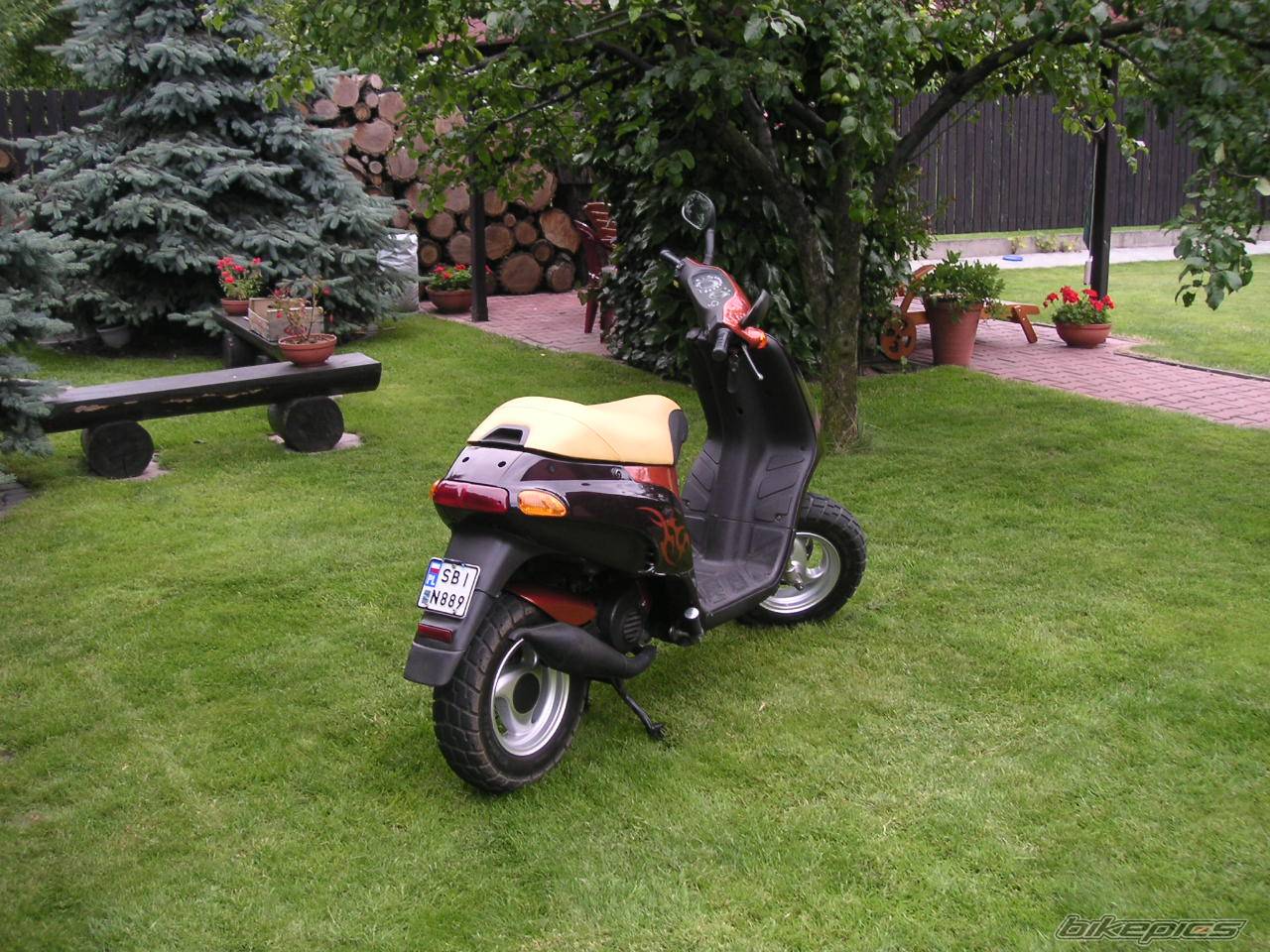 Bike Photo 259018
