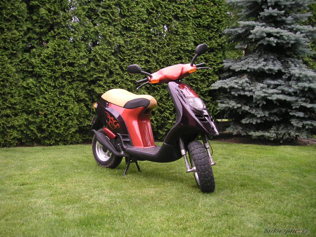Photo 259022