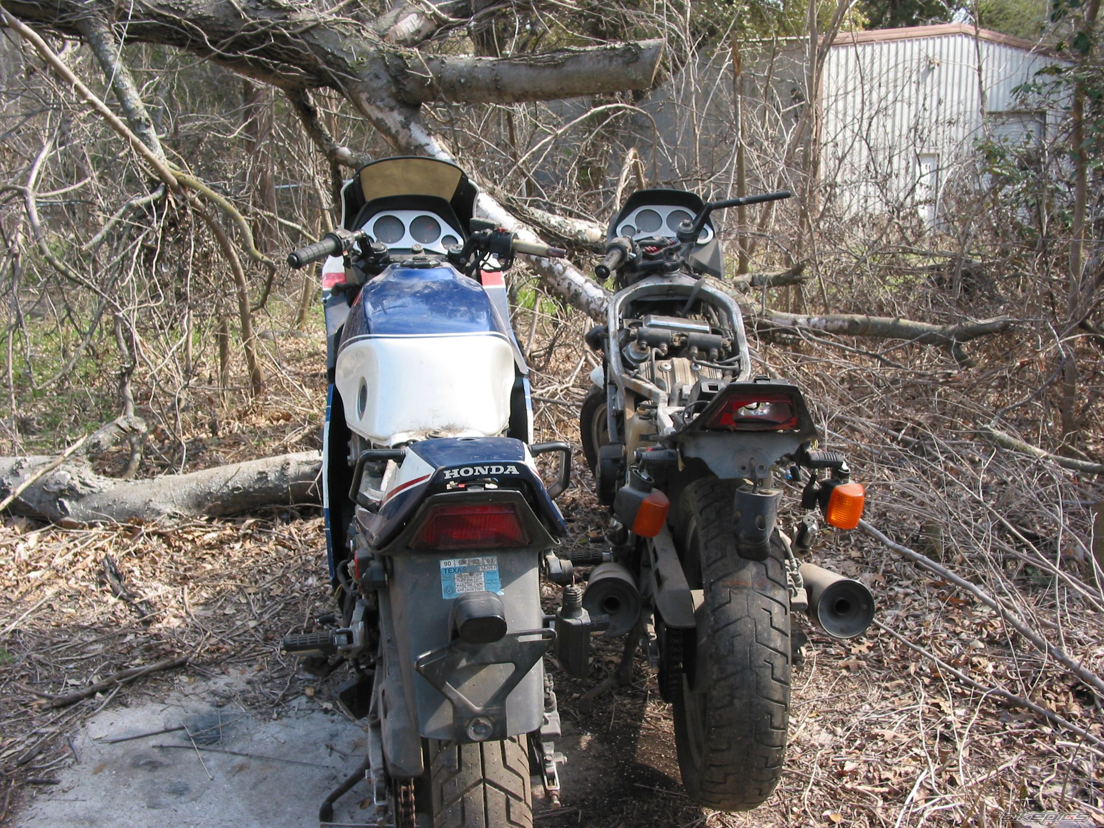 Photo 2590245