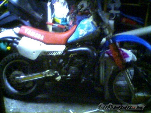 Photo 2590319