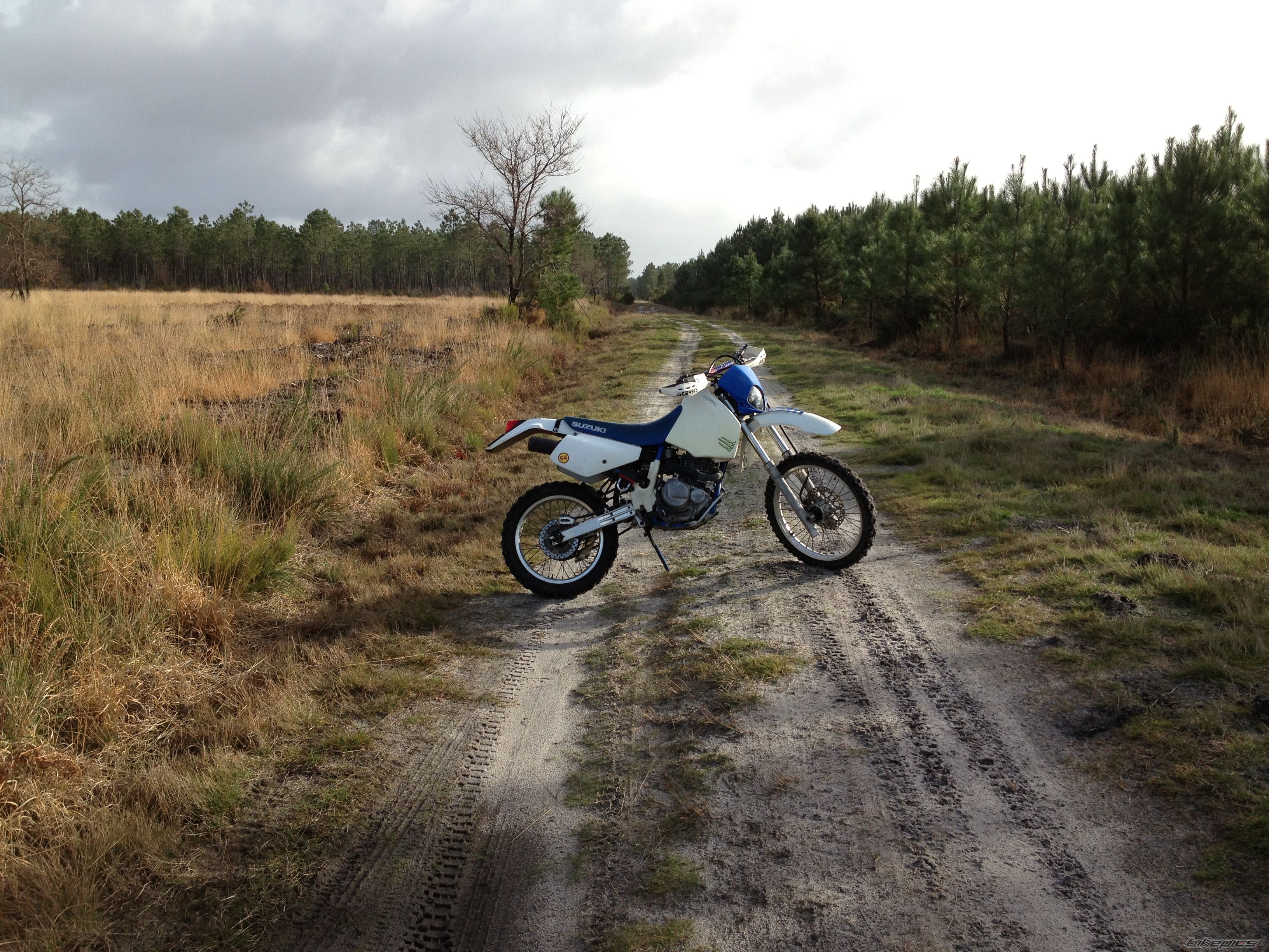 Photo 2590446