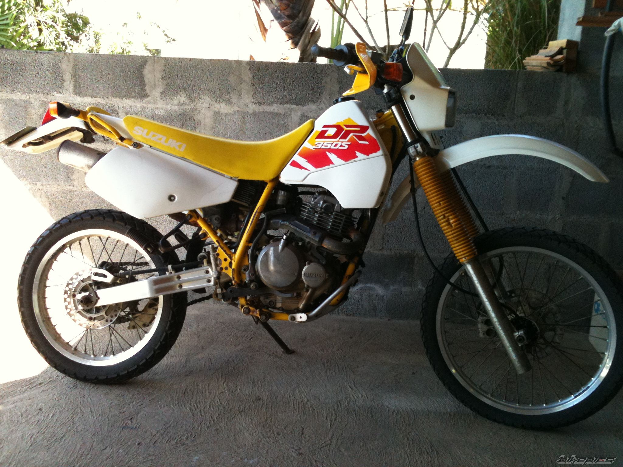 Photo 2590448