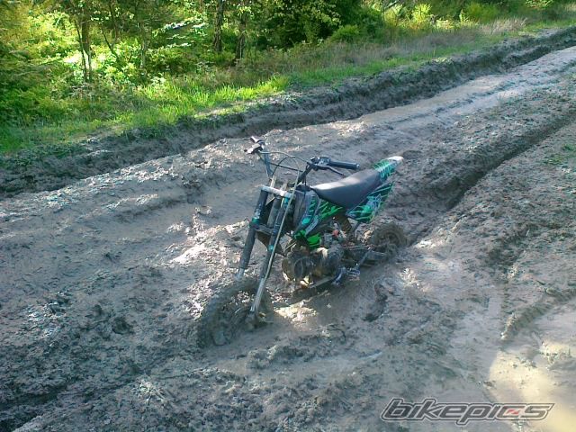 Photo 2590479