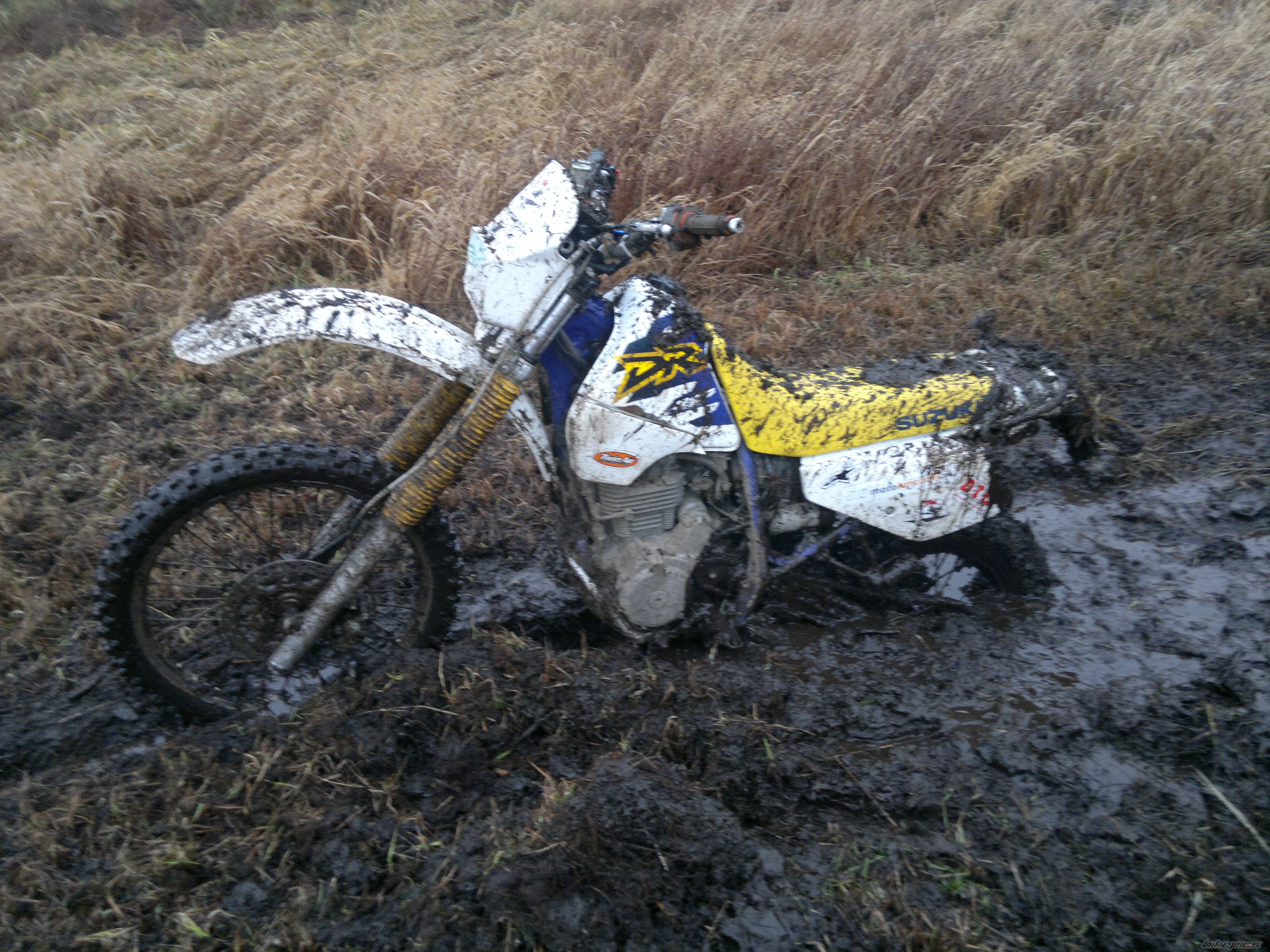 Photo 2590632