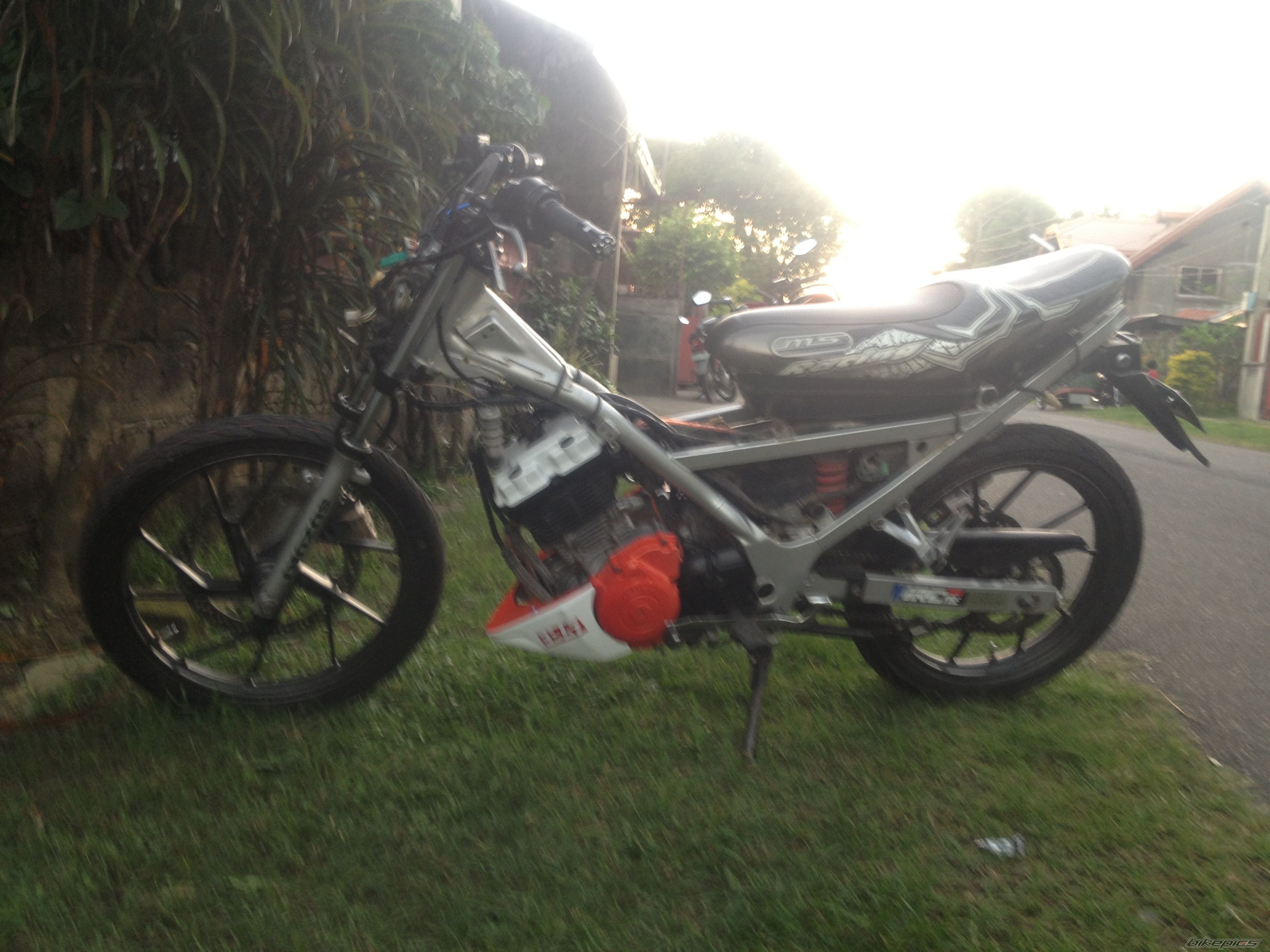 Photo 2590722