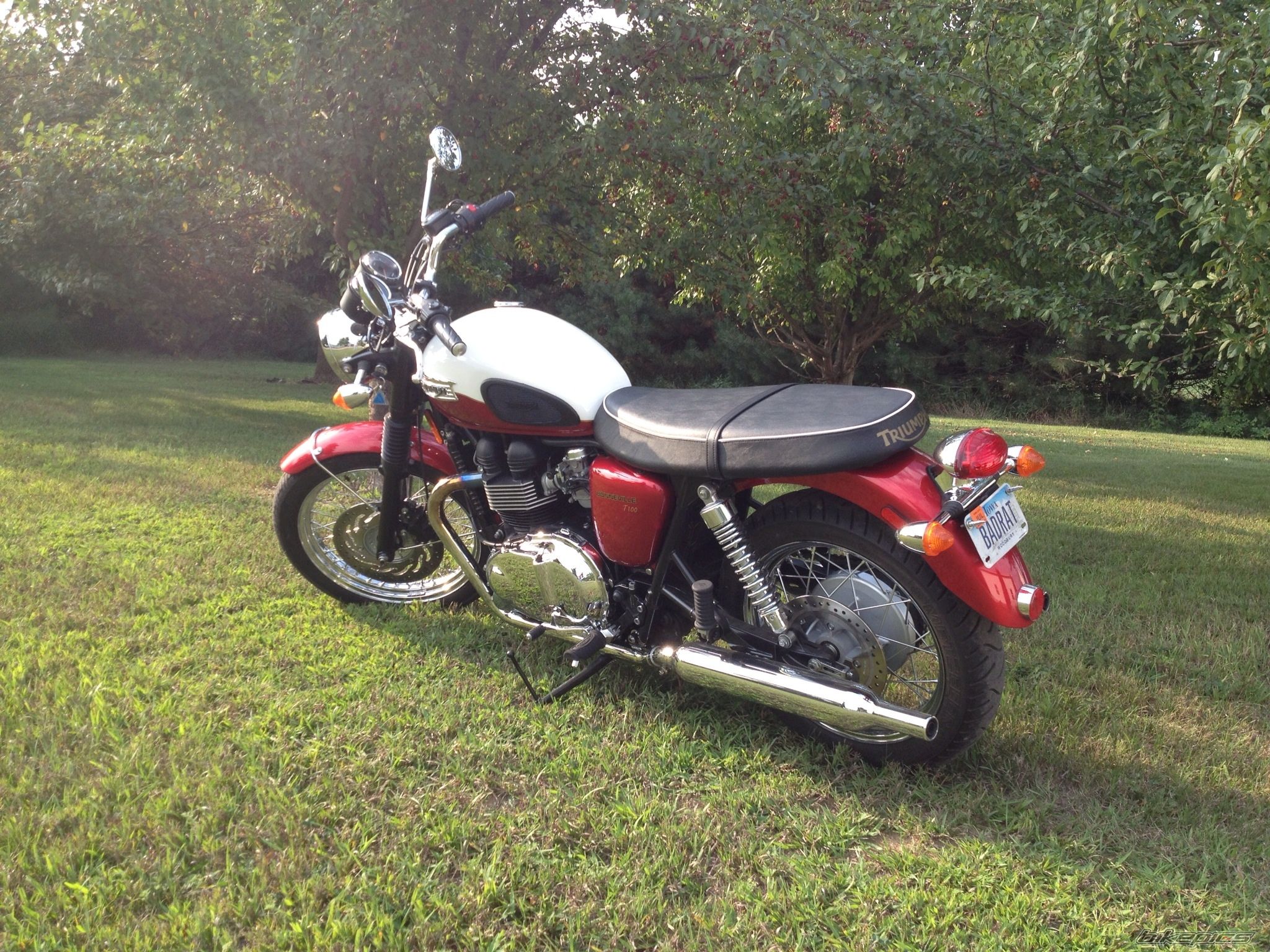 Photo 2590742
