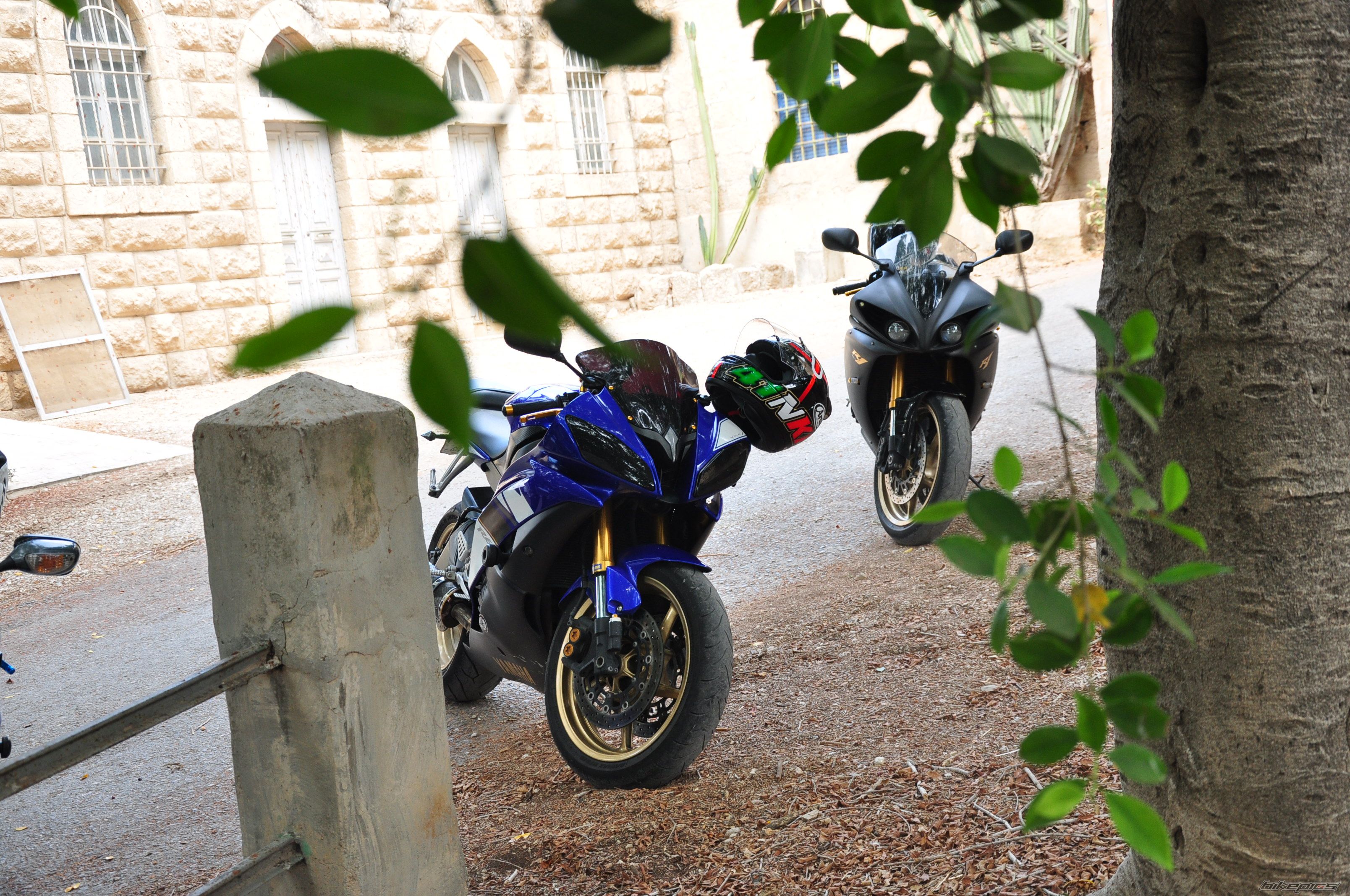 Photo 2590776
