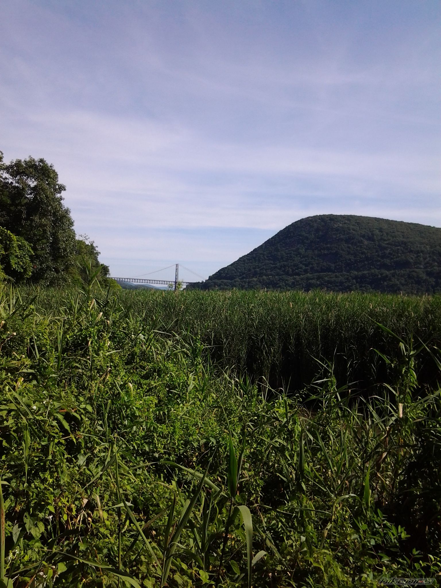 Photo 2590812