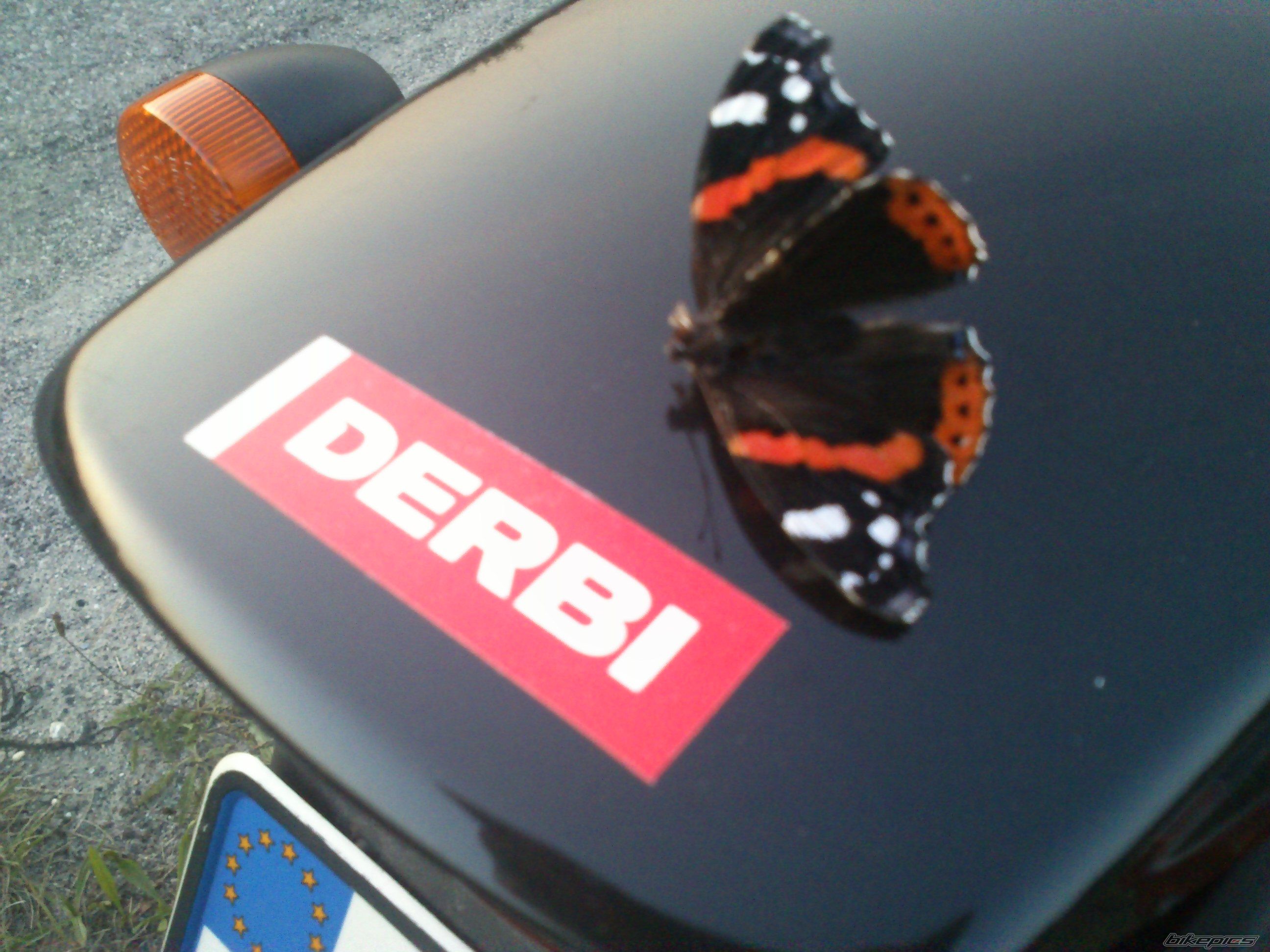 Photo 2590867