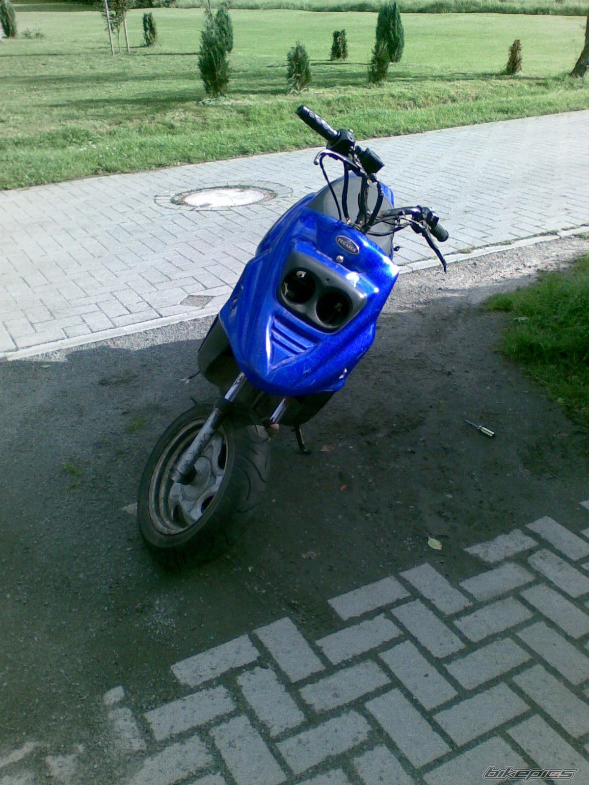 Photo 2590919