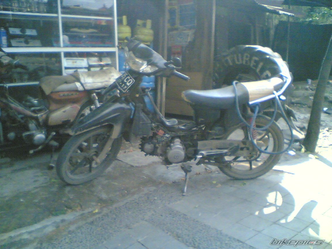 Photo 2590963