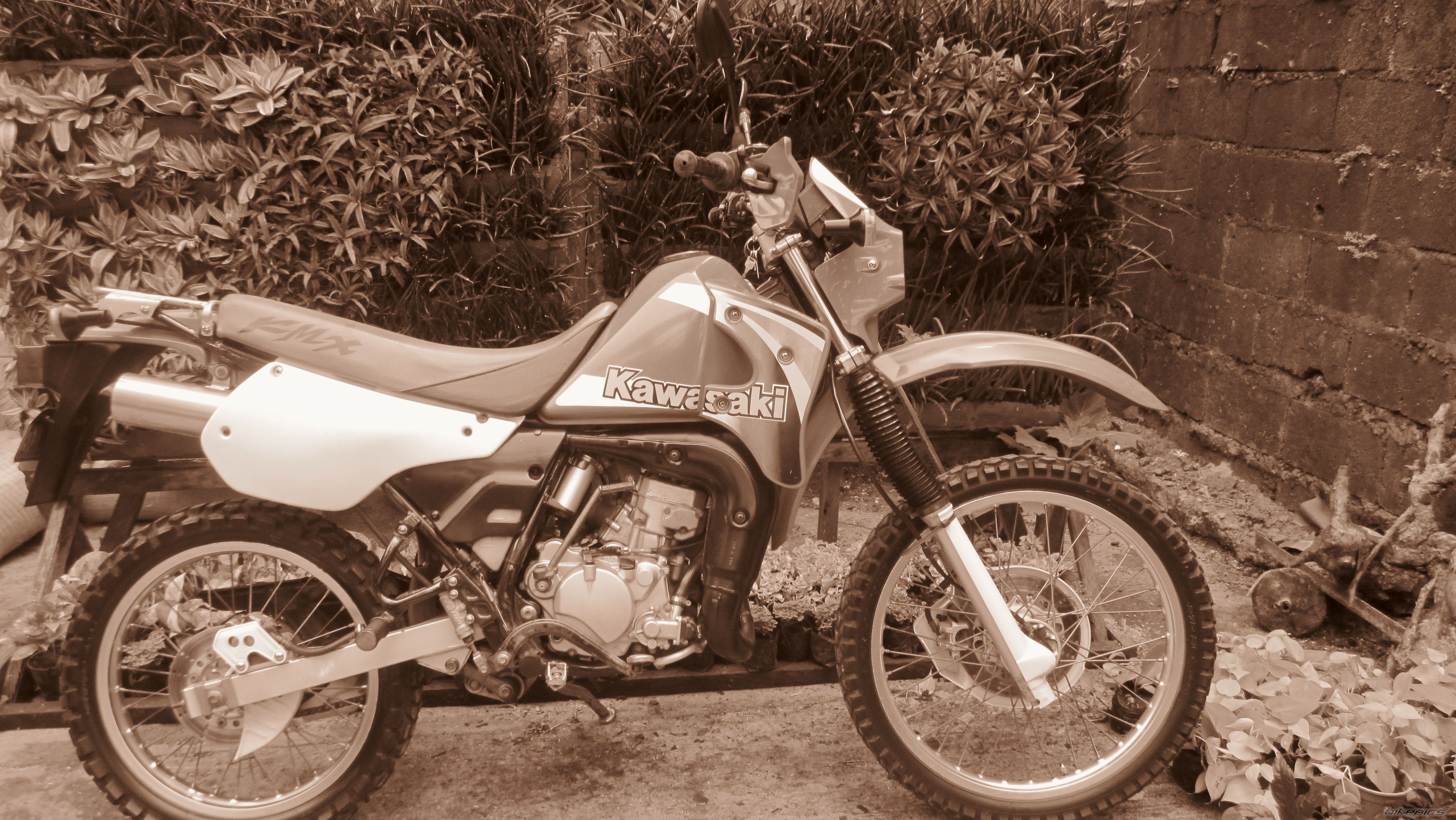 Photo 2591076