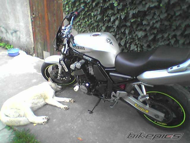 Photo 259108