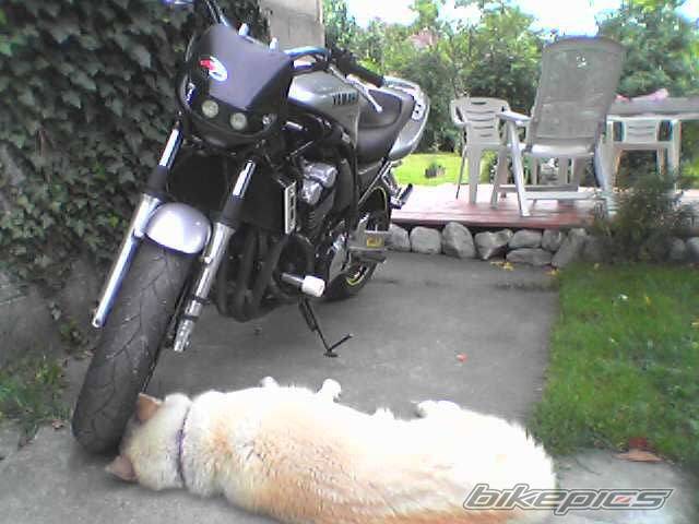 Photo 259109