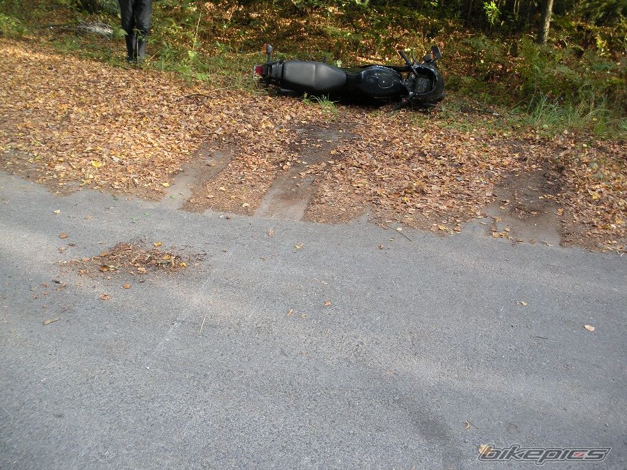 Photo 2591415