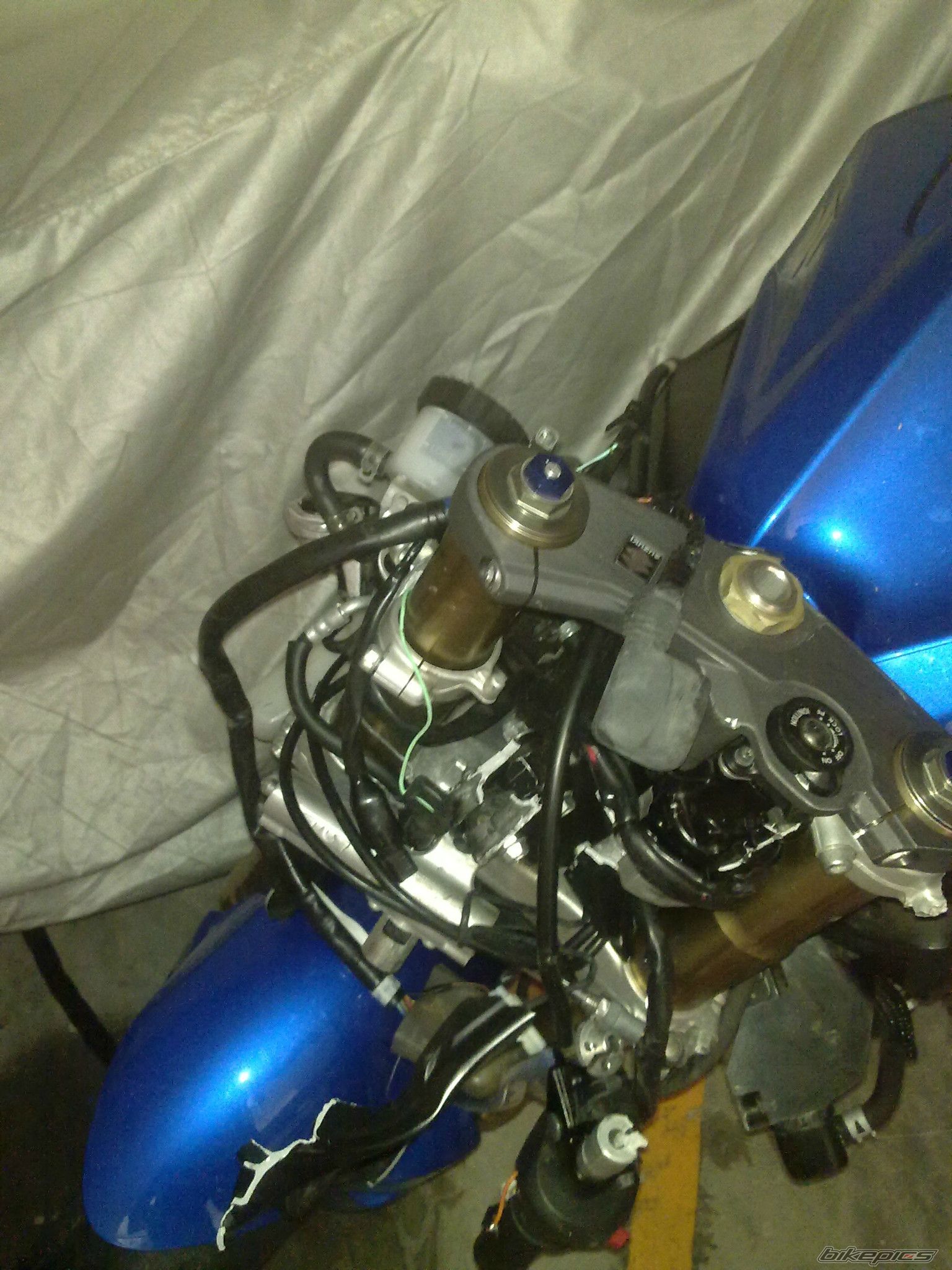 Photo 2591506