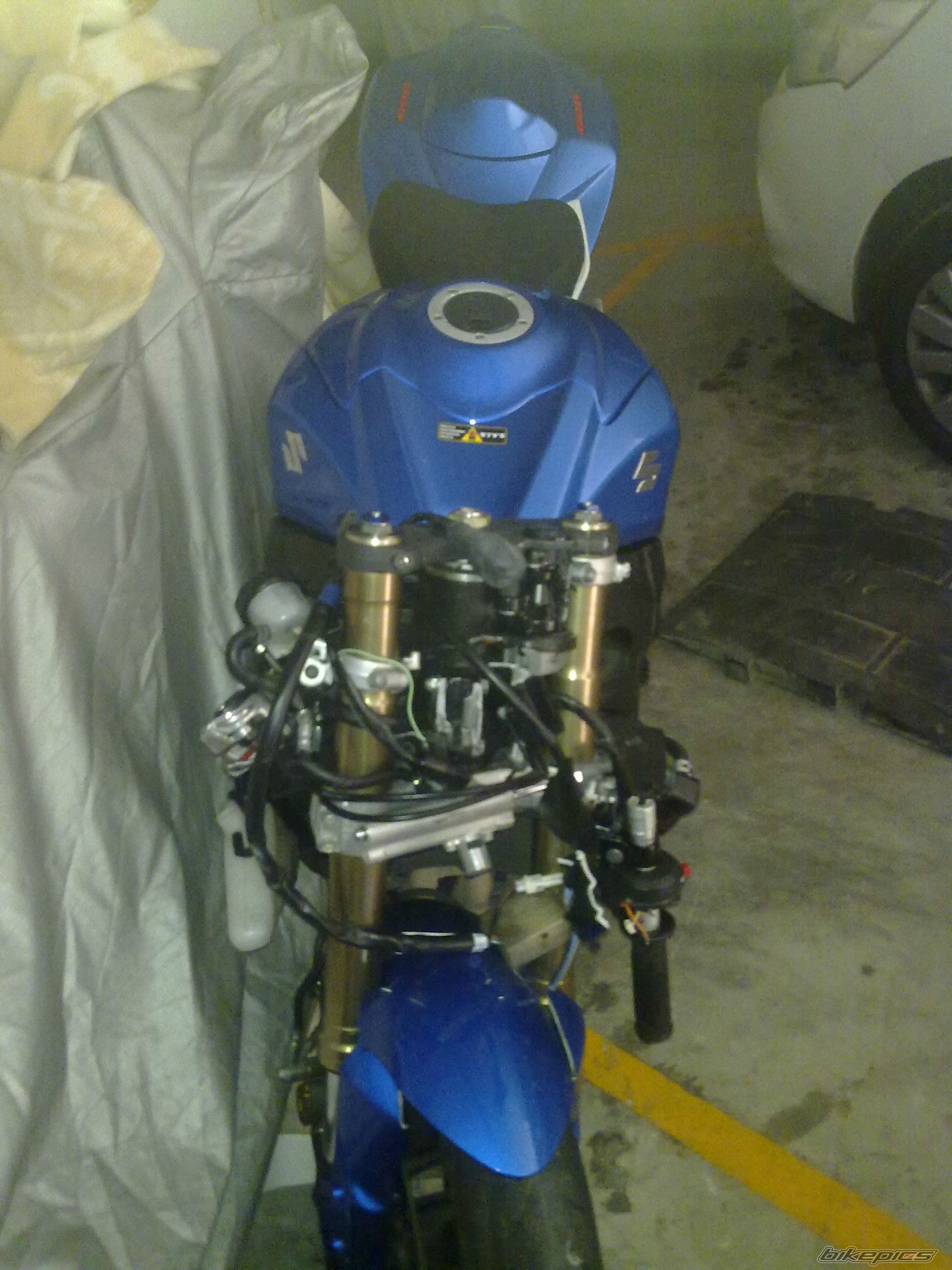 Photo 2591514