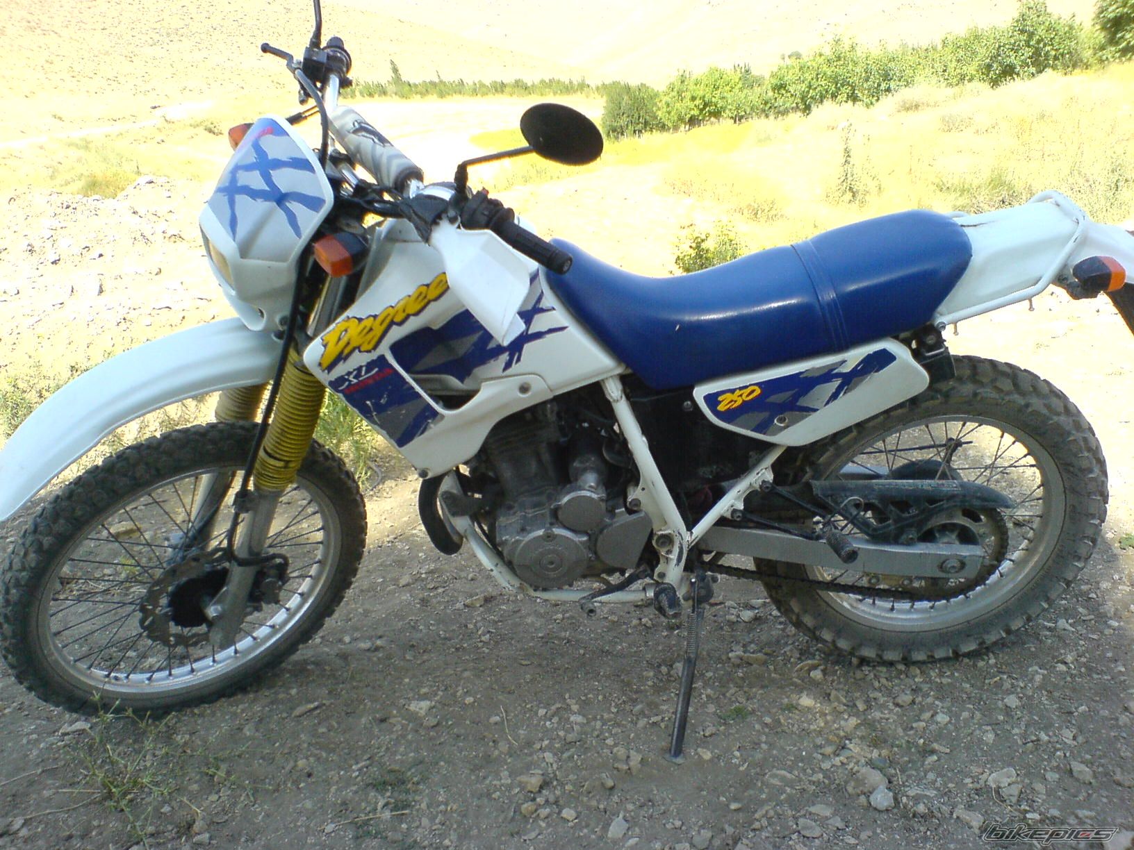 Photo 2591595