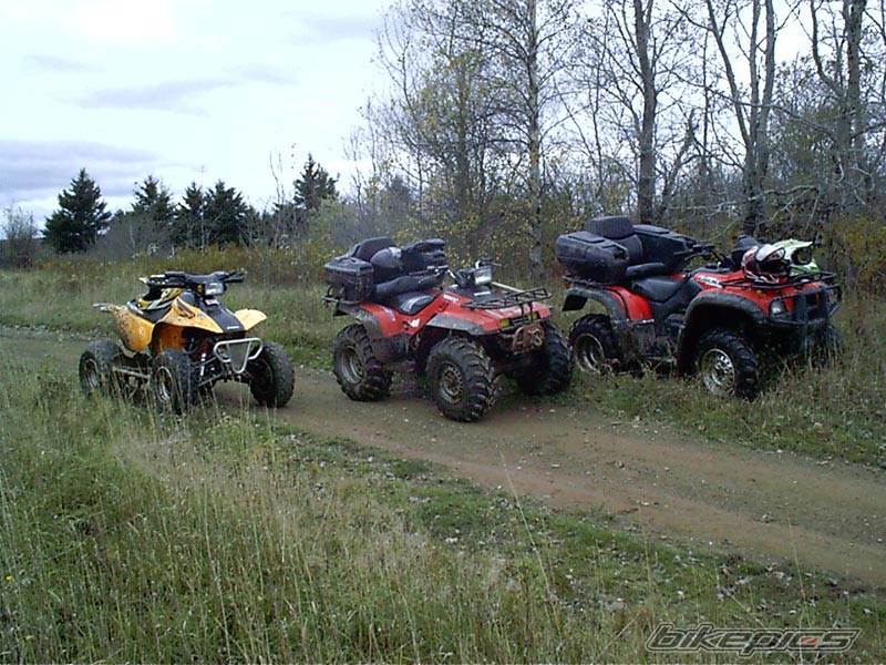 Bike Photo 259160