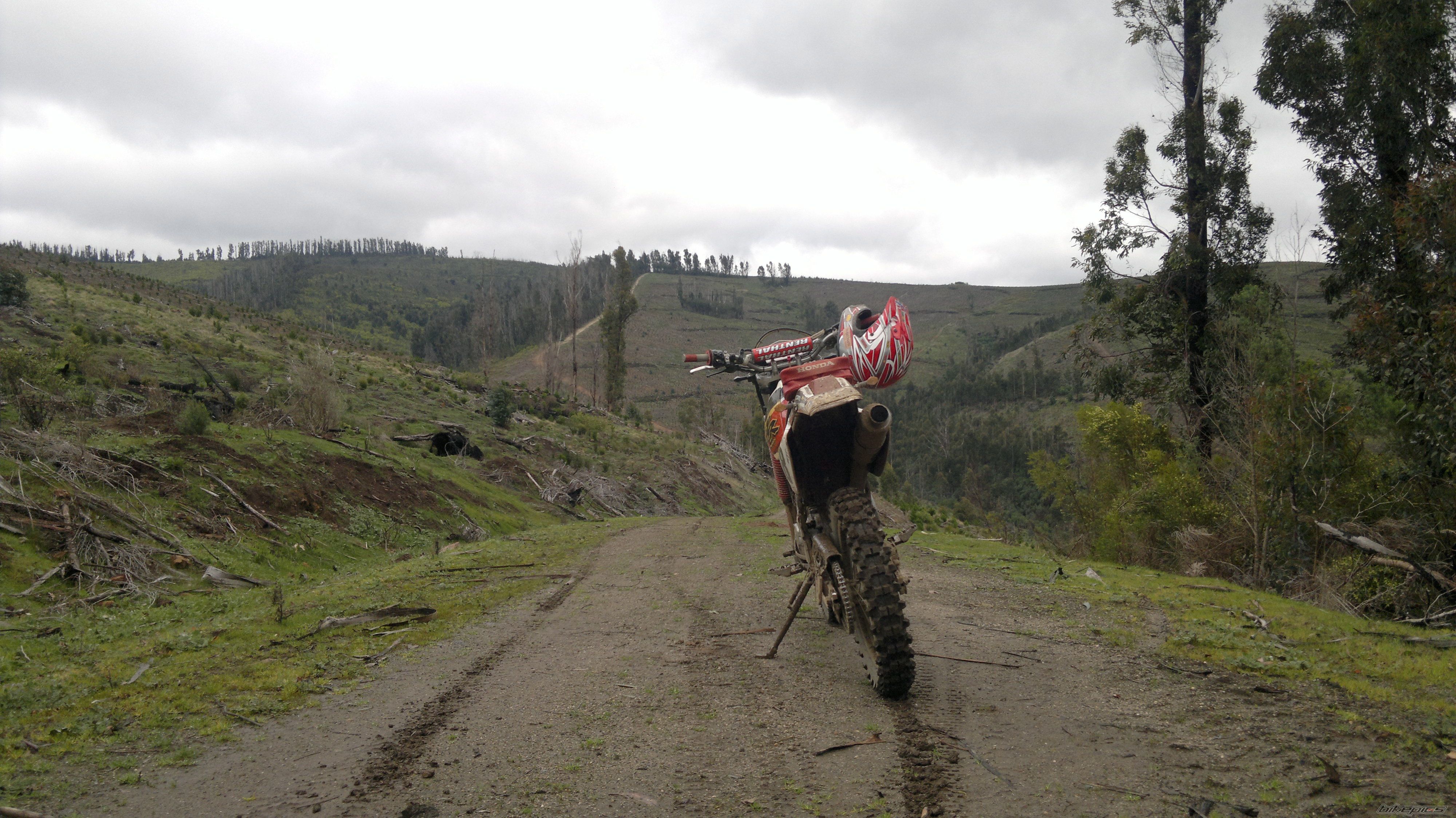Bike Photo 2591660