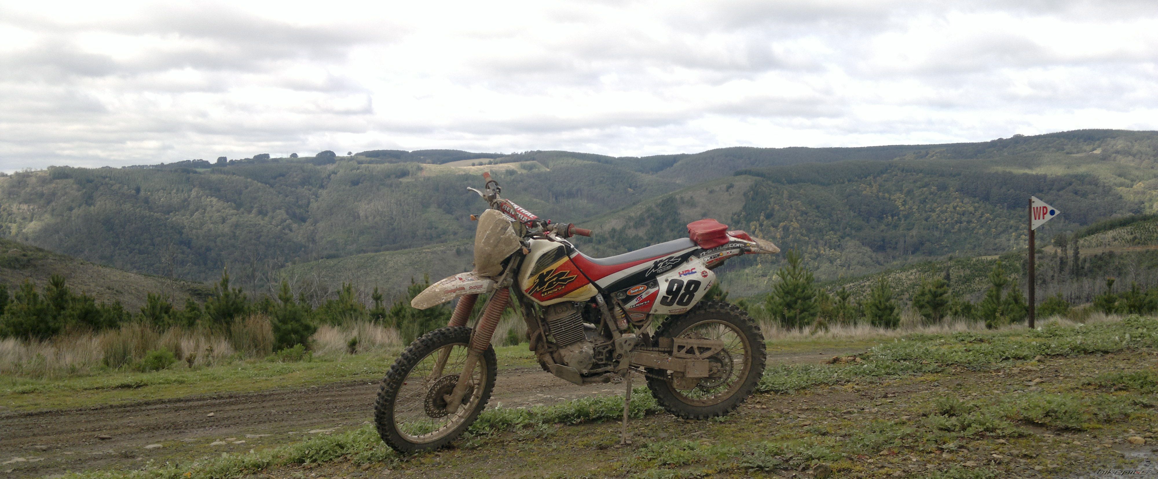 Bike Photo 2591662