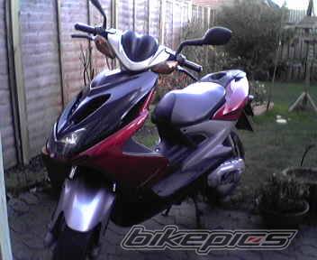 Photo 259183