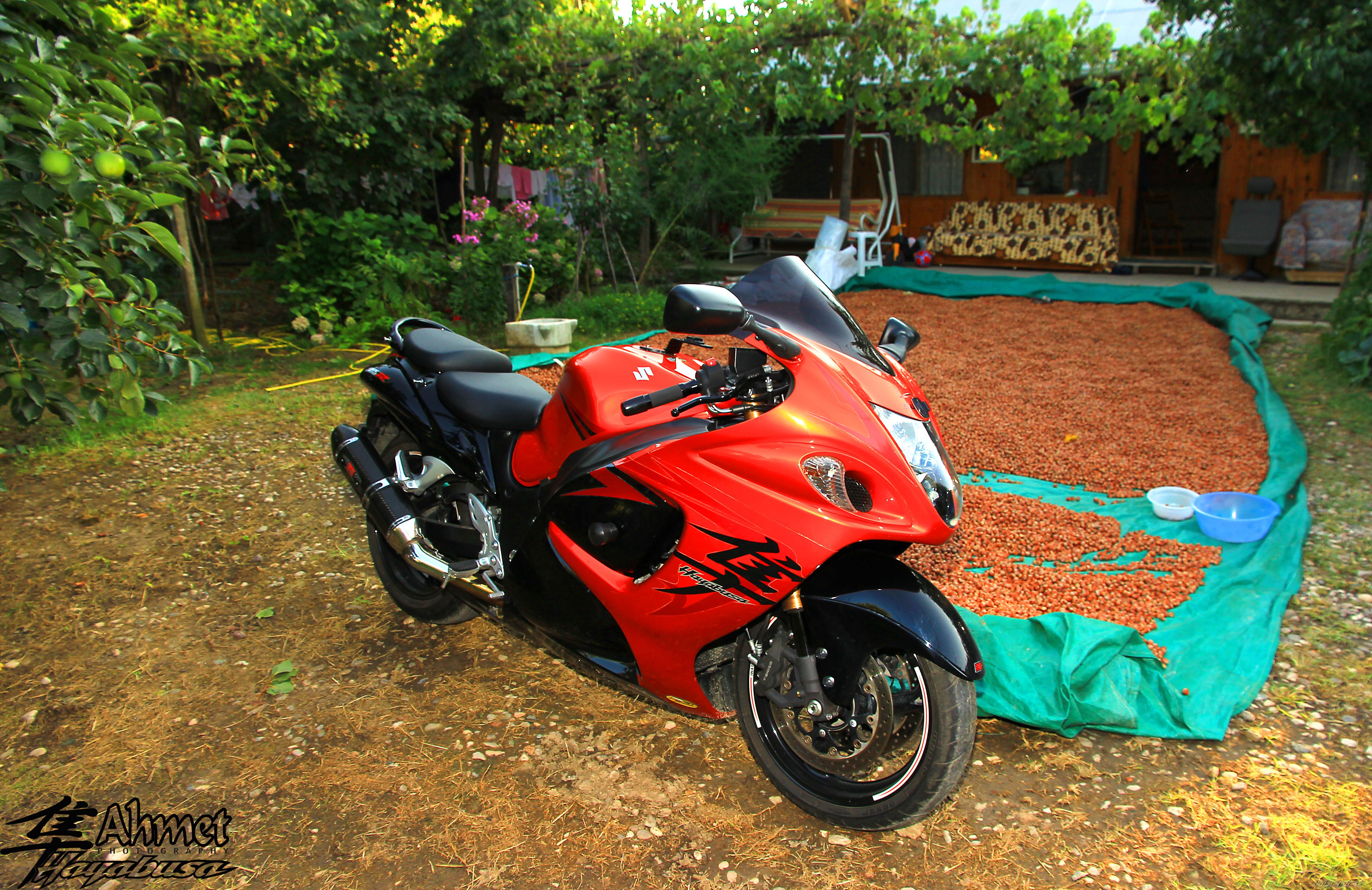 Photo 2591834
