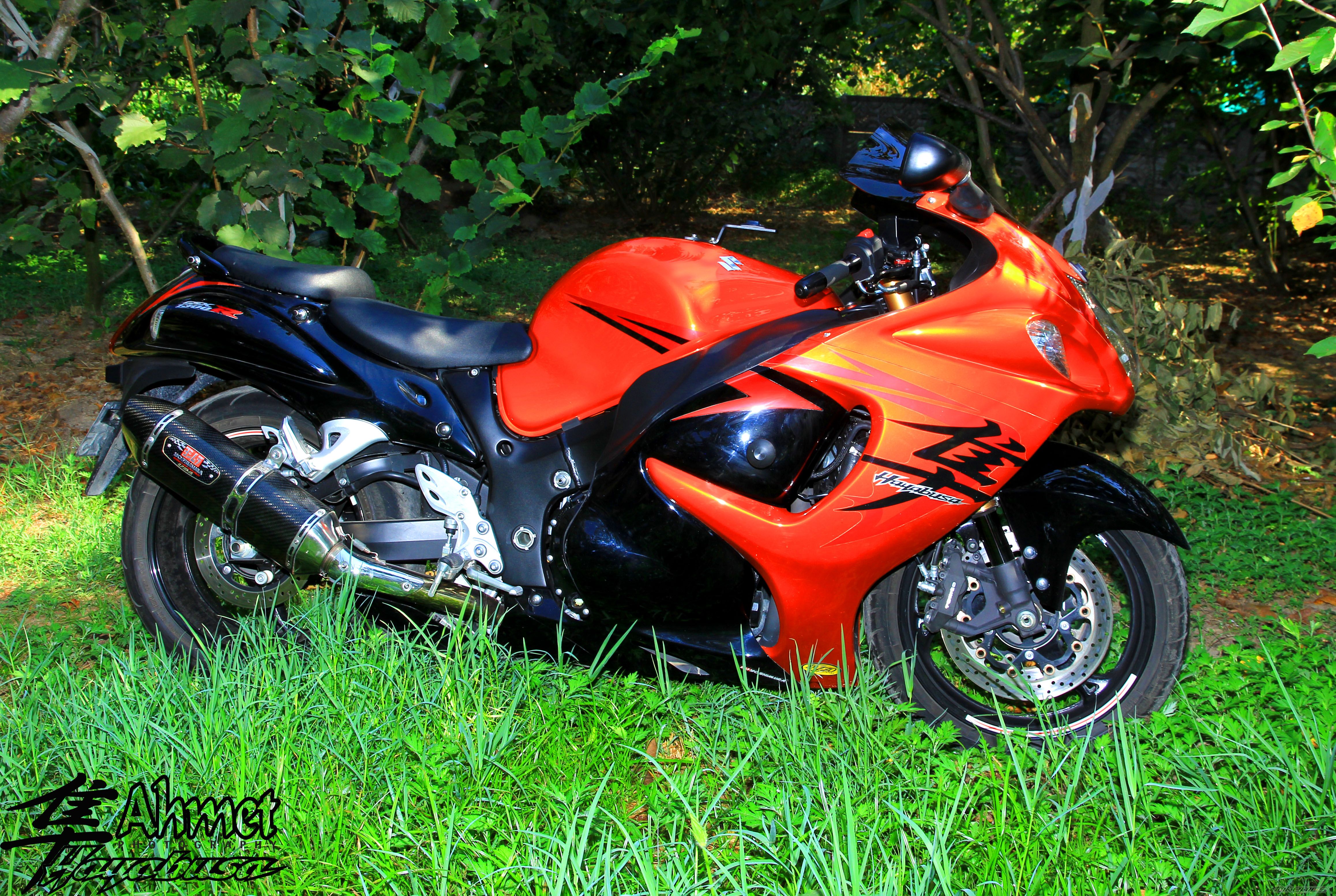 Photo 2591836