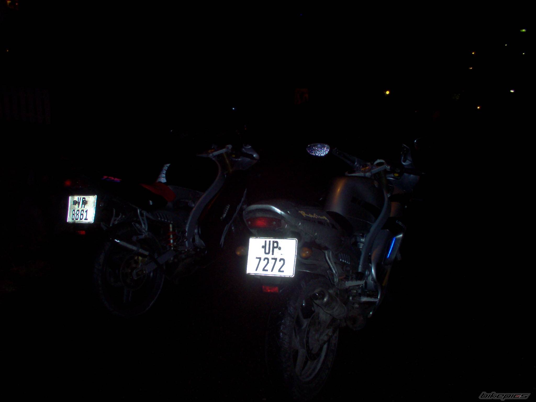 Photo 259198