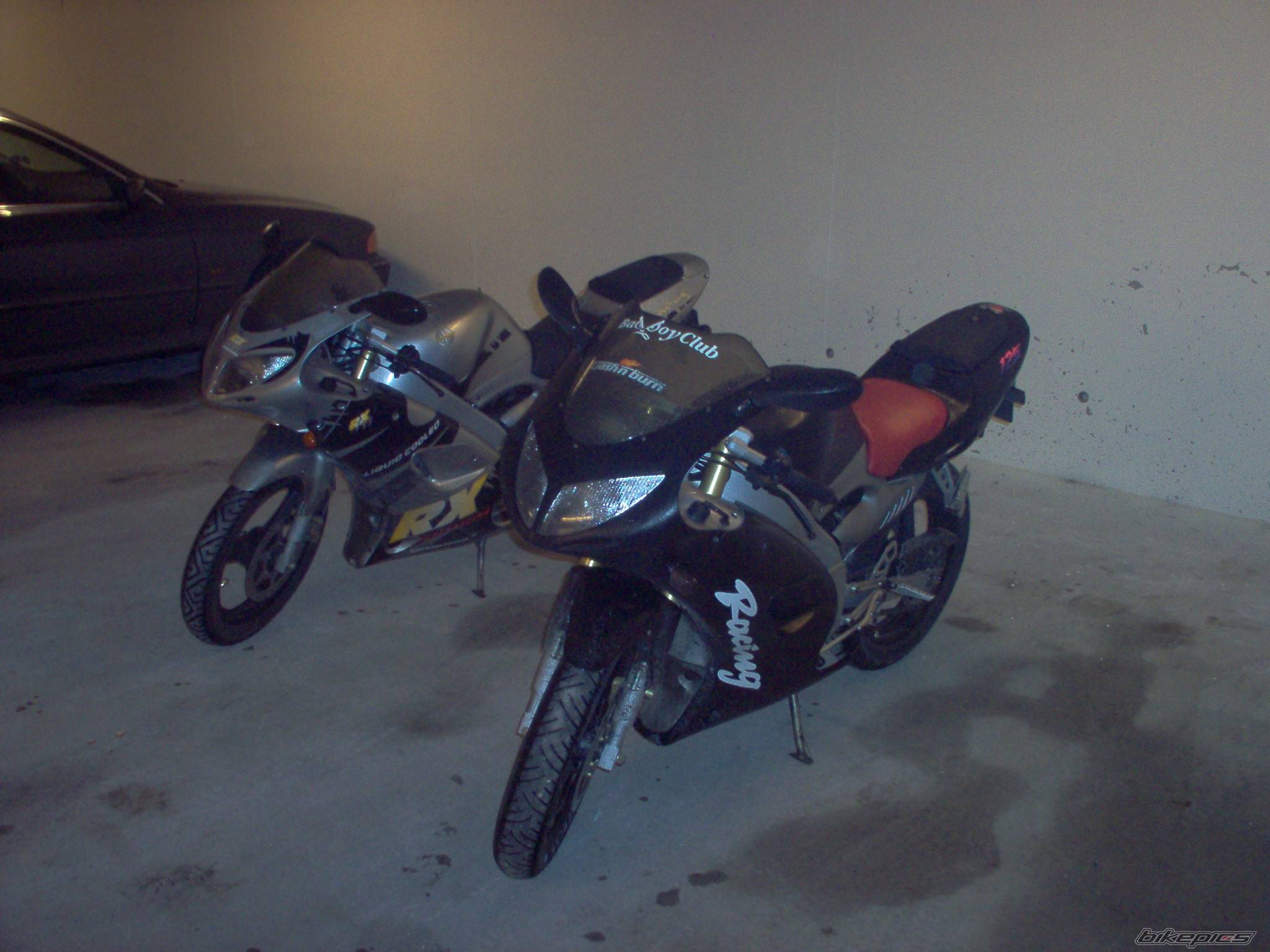 Photo 259205