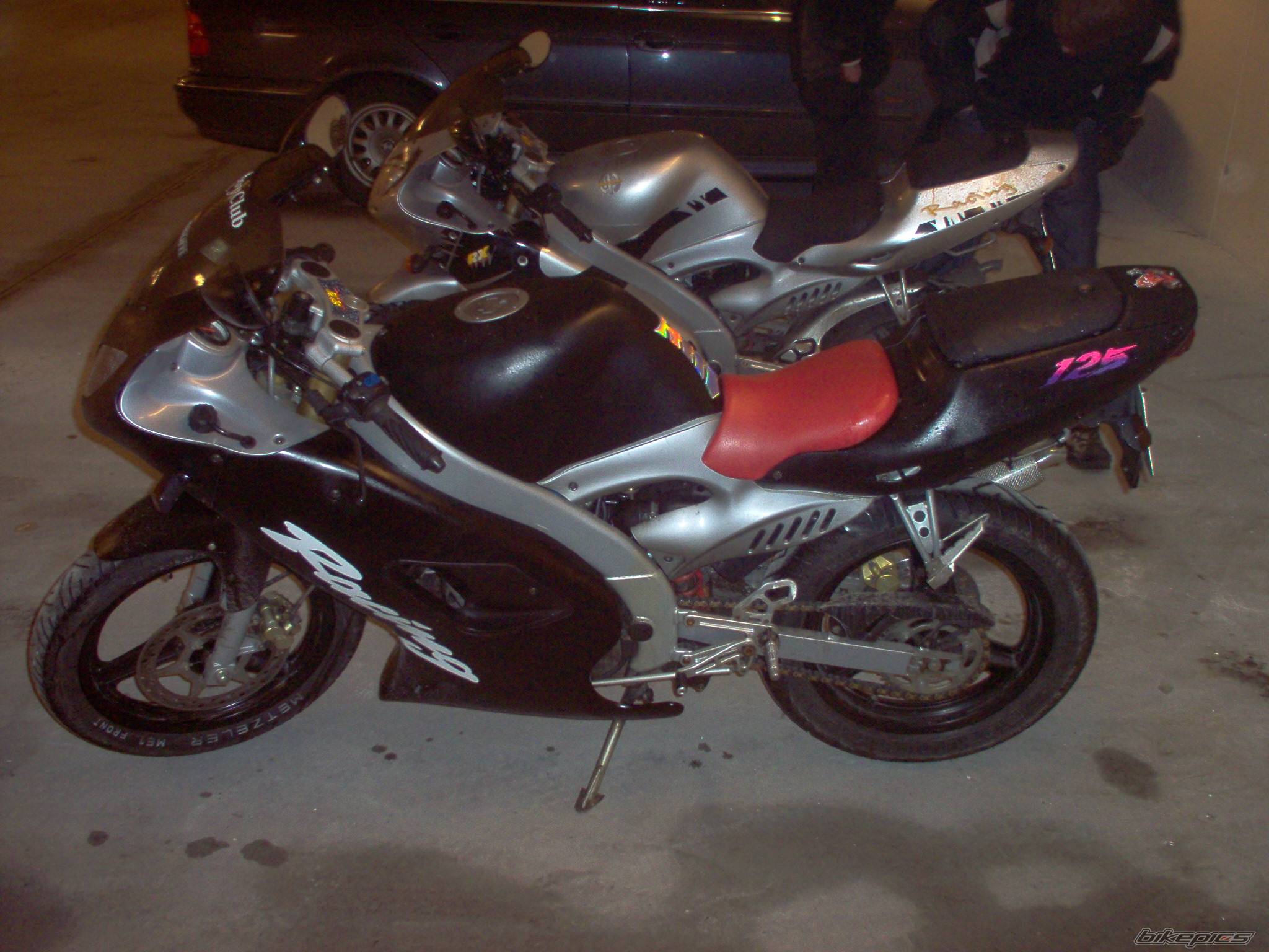 Photo 259207