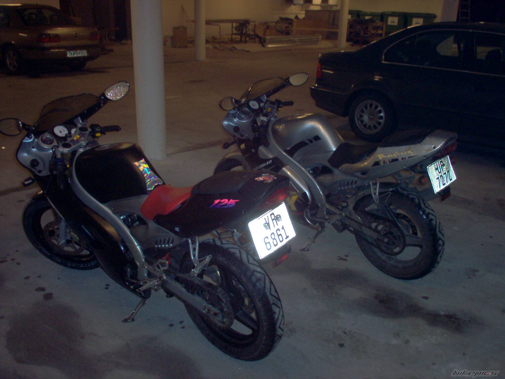 Photo 259209