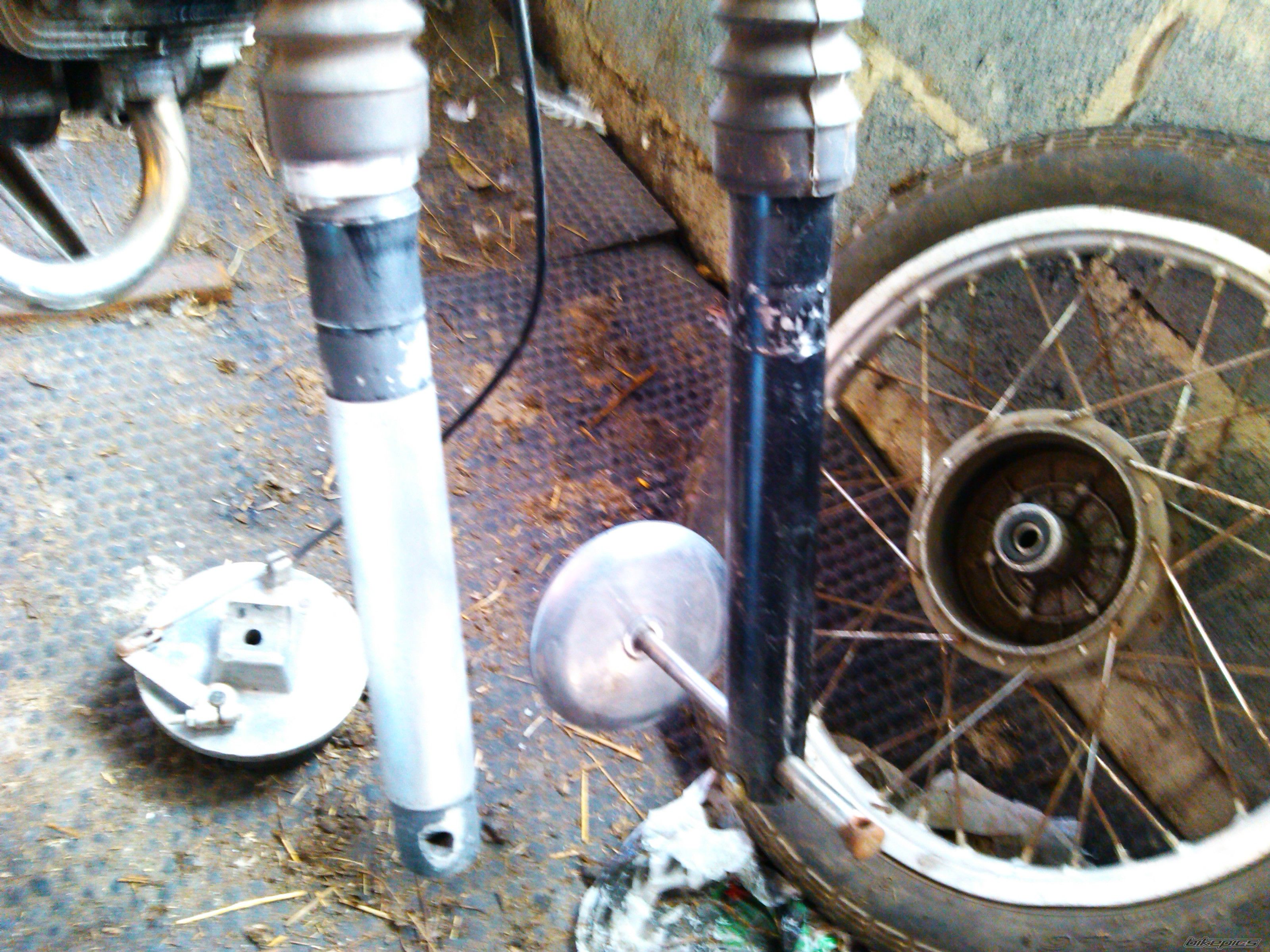 Photo 2592155