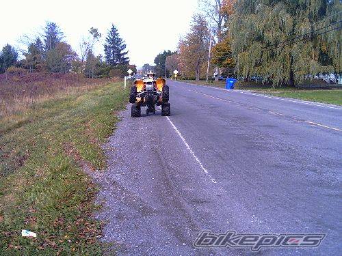 Photo 259219